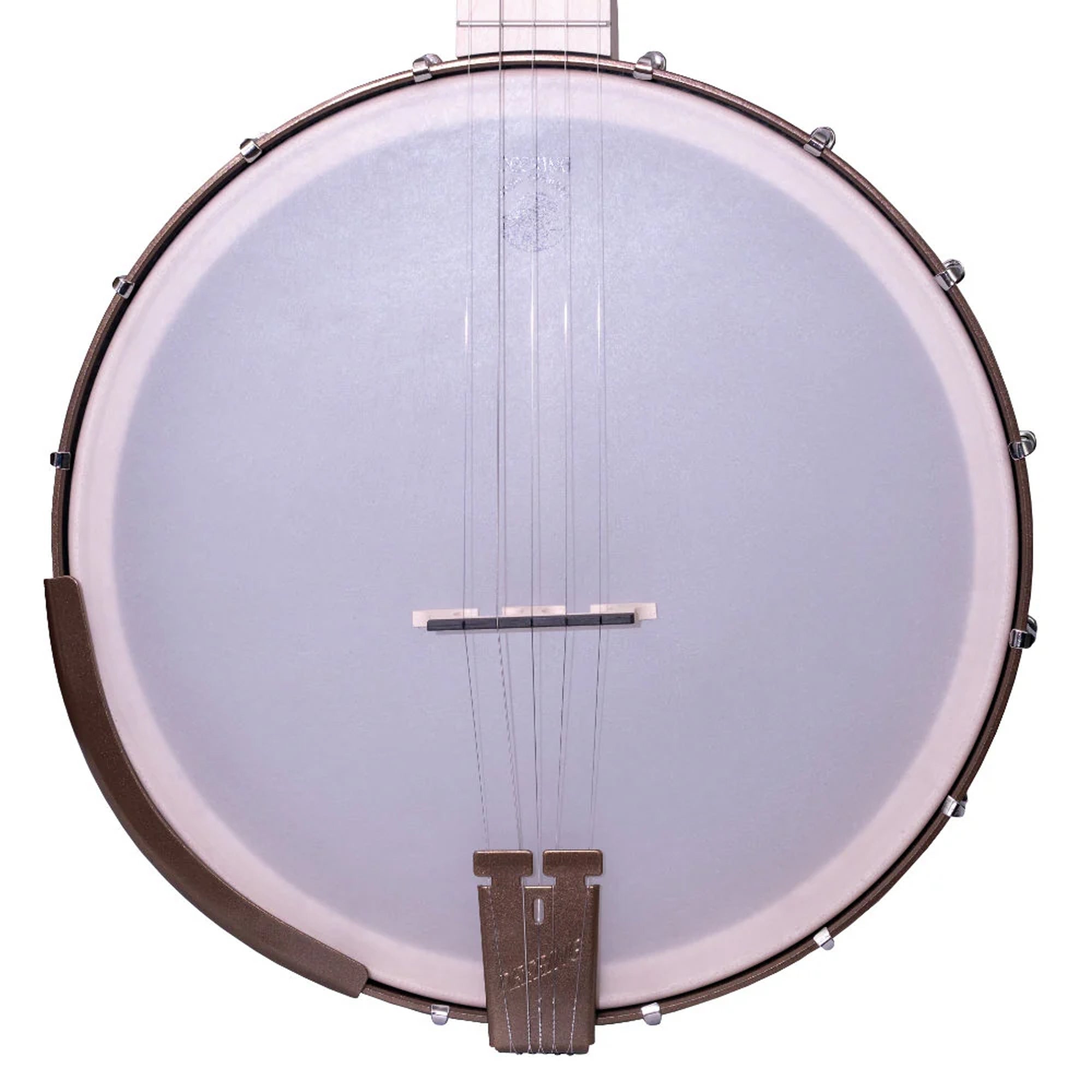 Deering Goodtime Americana 5-String Banjo