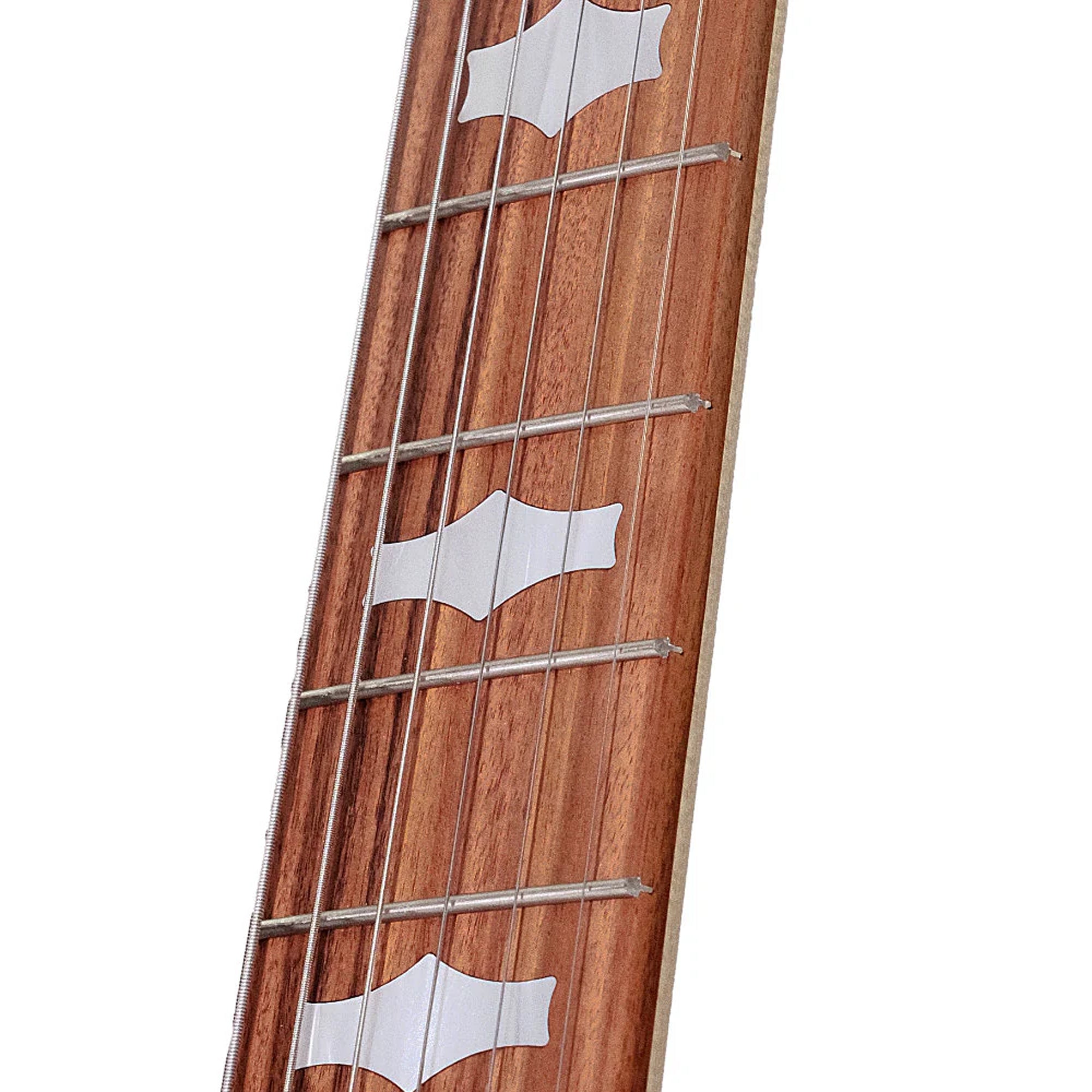 Deering Goodtime 6-String Banjo