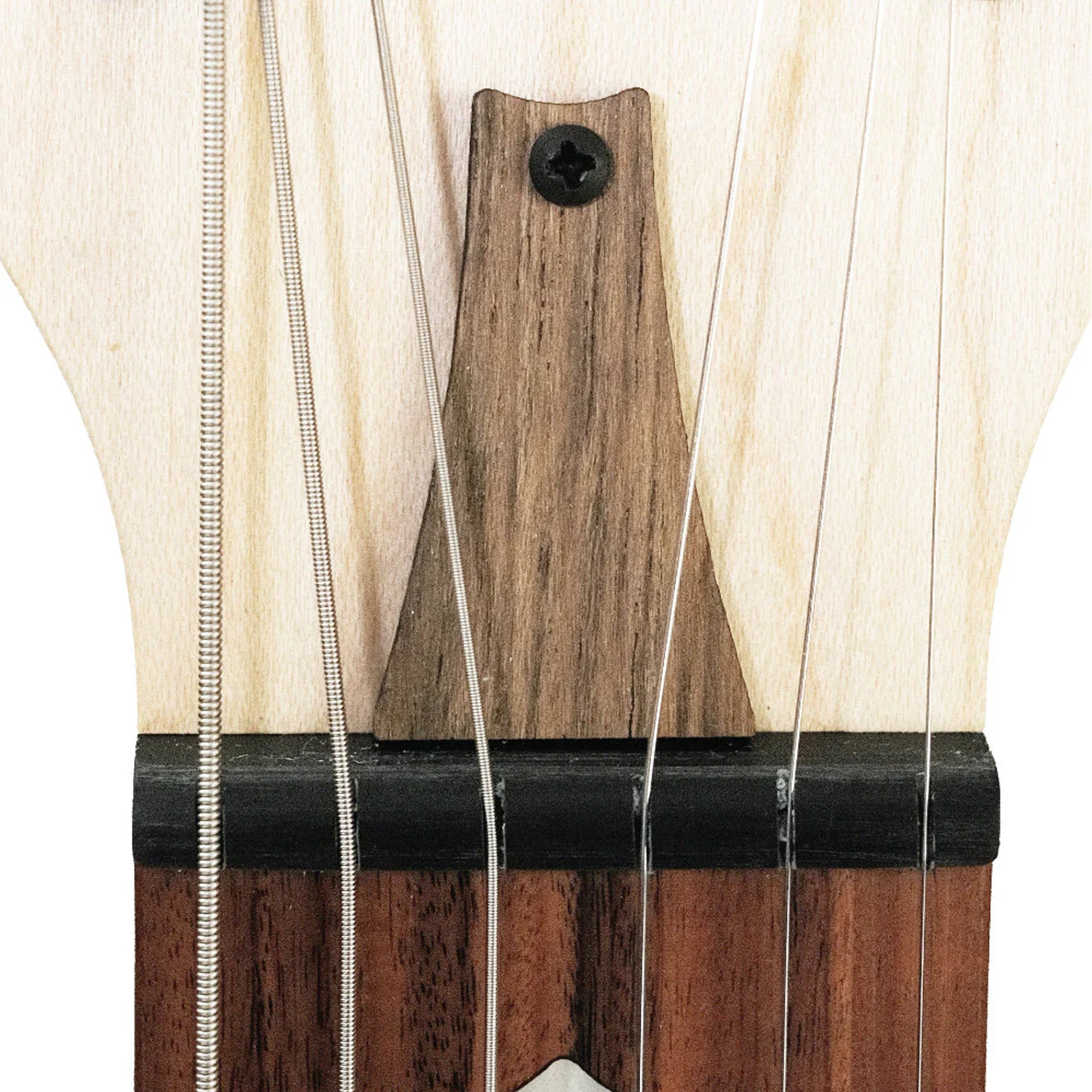 Deering Goodtime 6-String Banjo