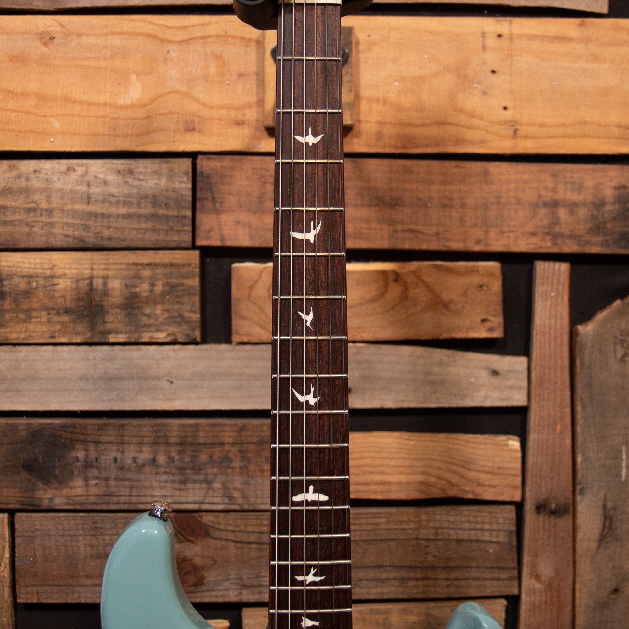PRS SE Silver Sky - Stone Blue