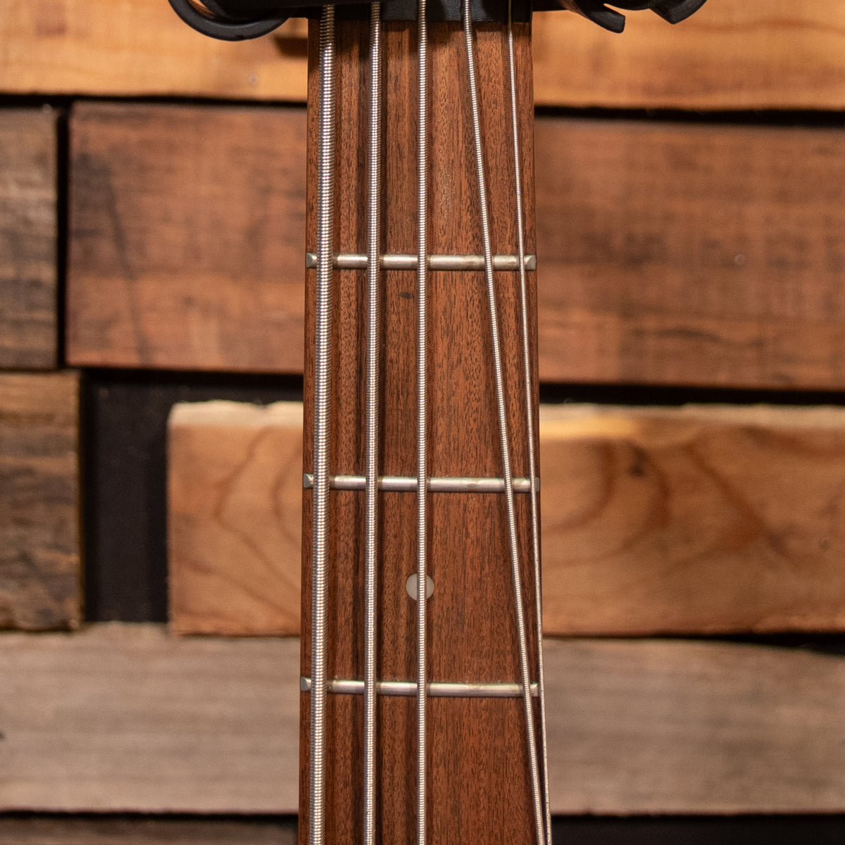 Alvarez AEB 250 VILLAIN 5-String Bass - Natural