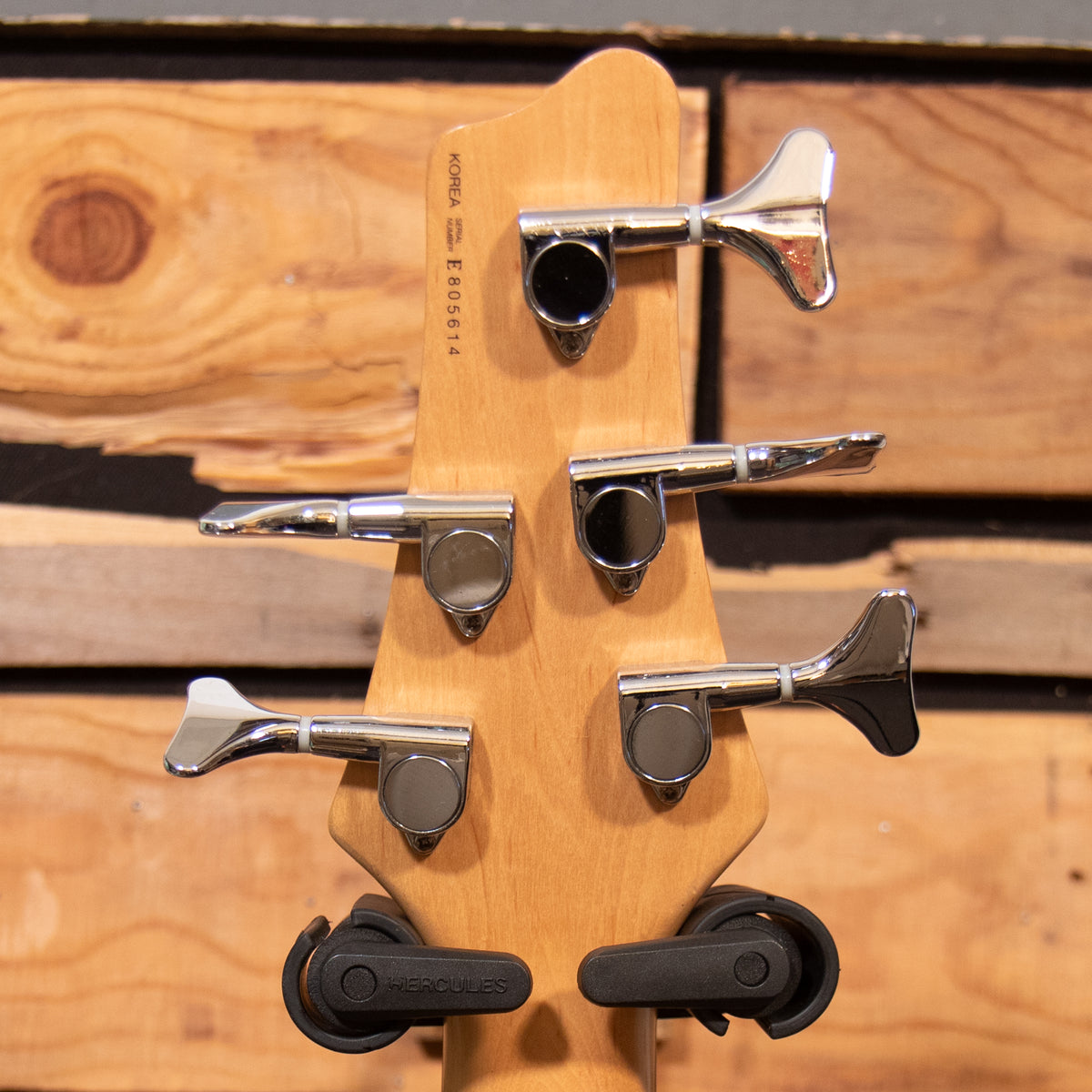 Alvarez AEB 250 VILLAIN 5-String Bass - Natural