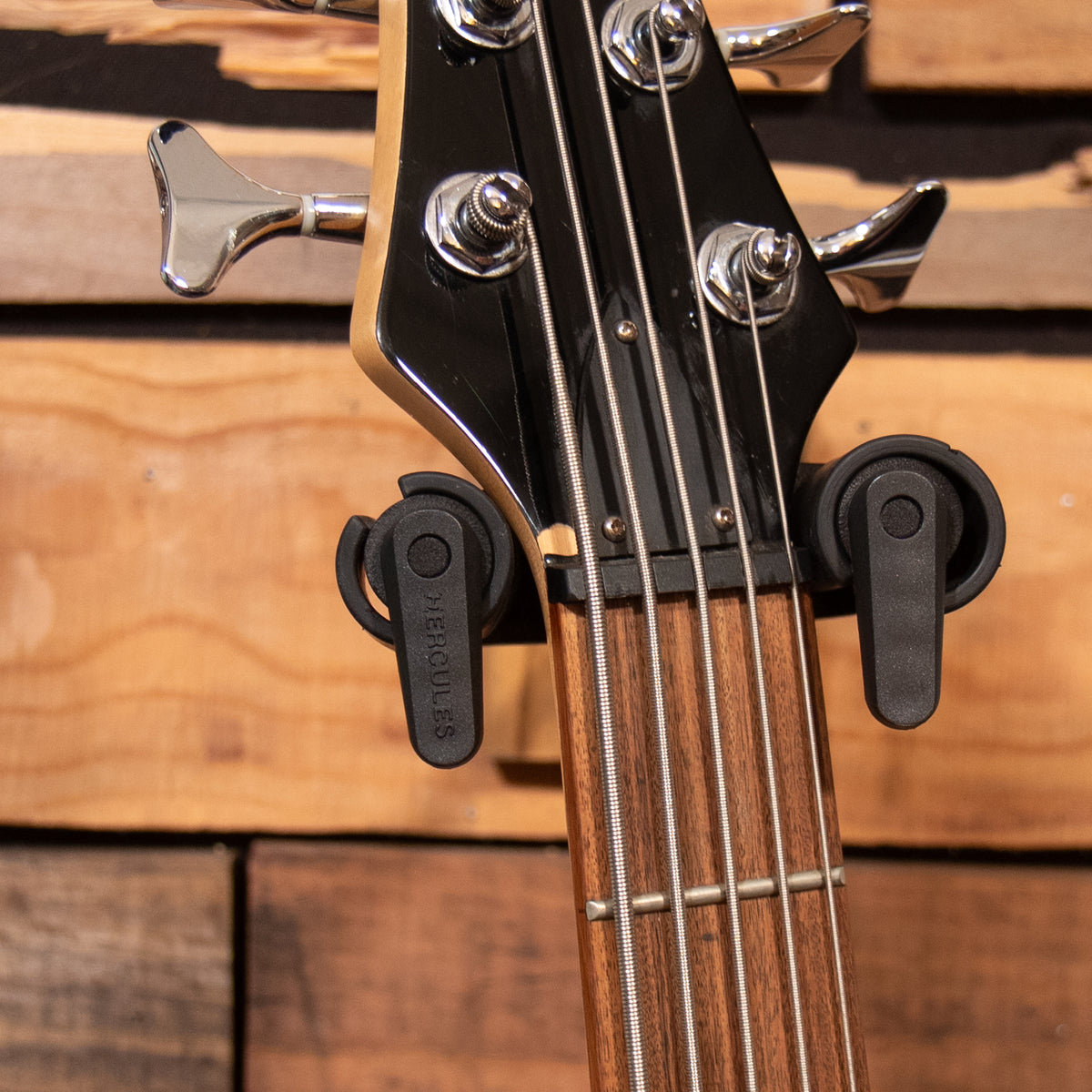 Alvarez AEB 250 VILLAIN 5-String Bass - Natural
