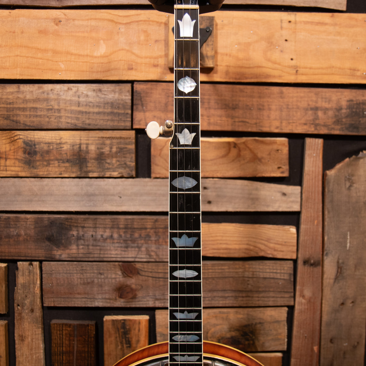 Vega Pro II 5-String Banjo