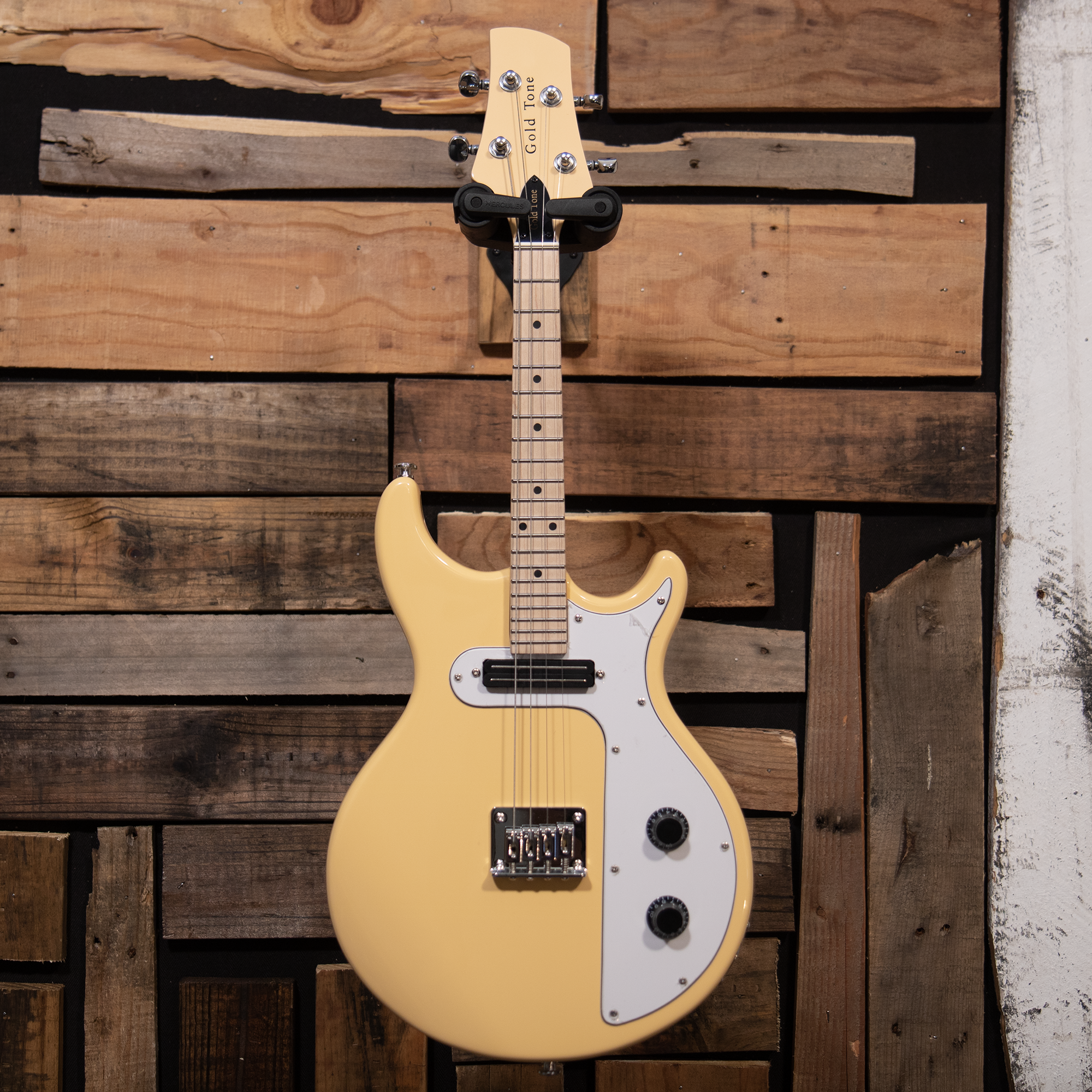 Gold Tone GME-4 Electric Mandolin