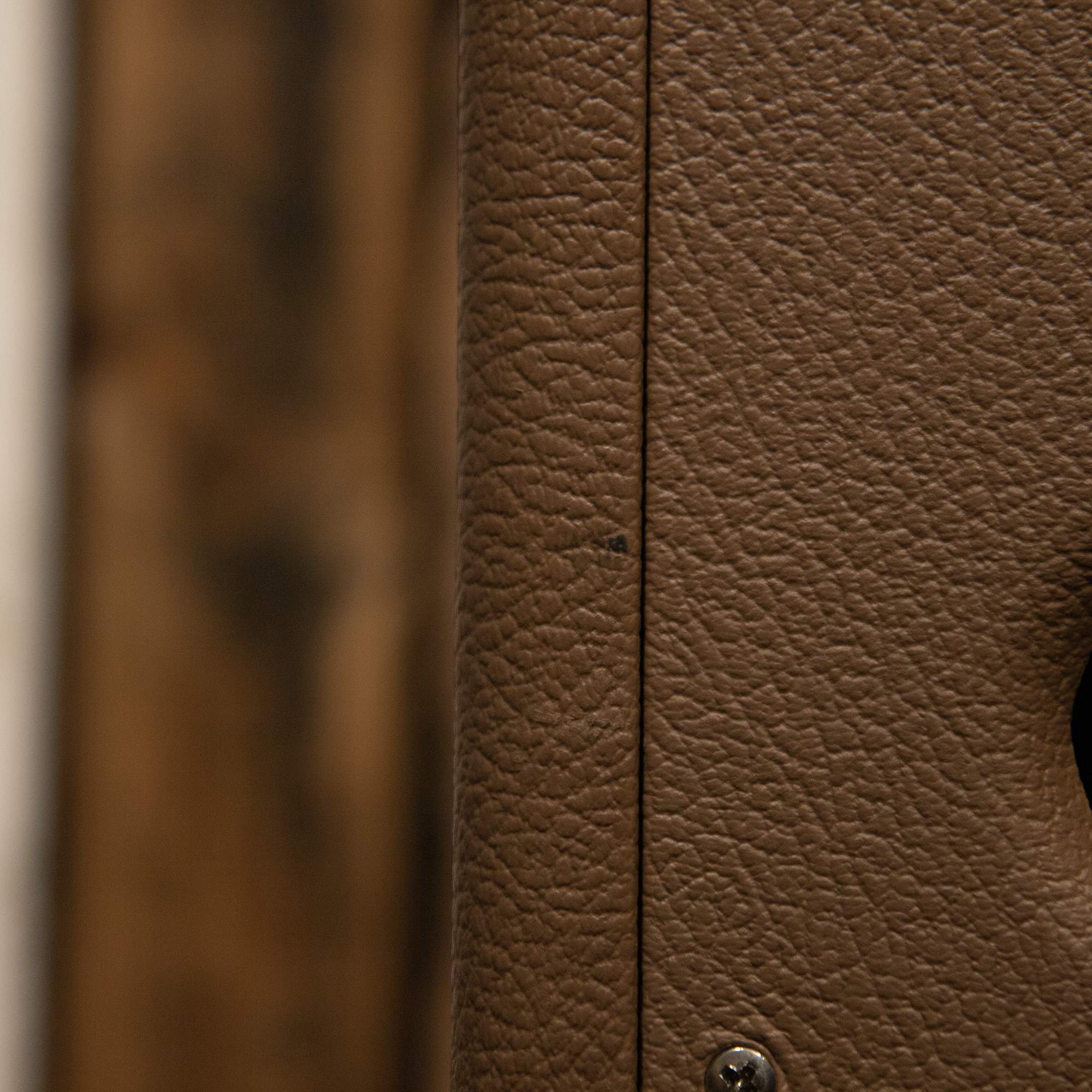 Tungsten Buckwheat 30w Combo Amp