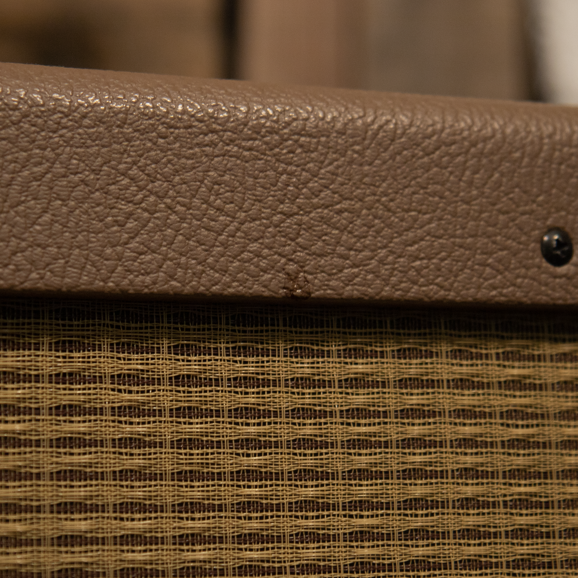 Tungsten Buckwheat 30w Combo Amp