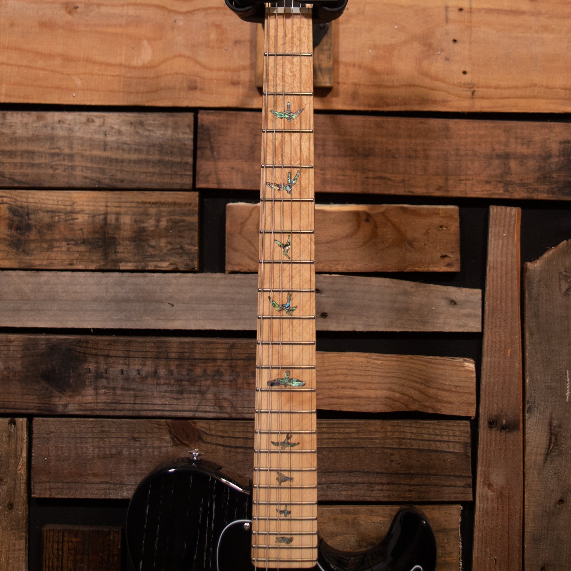 PRS SE NF53 - Black Doghair