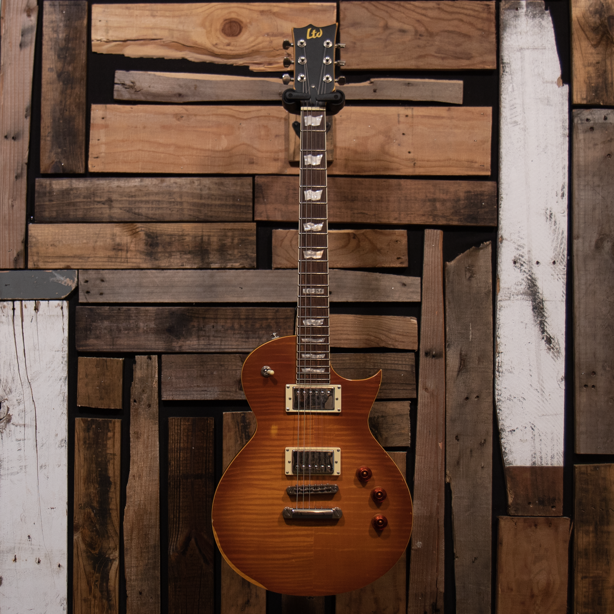 LTD EC-256