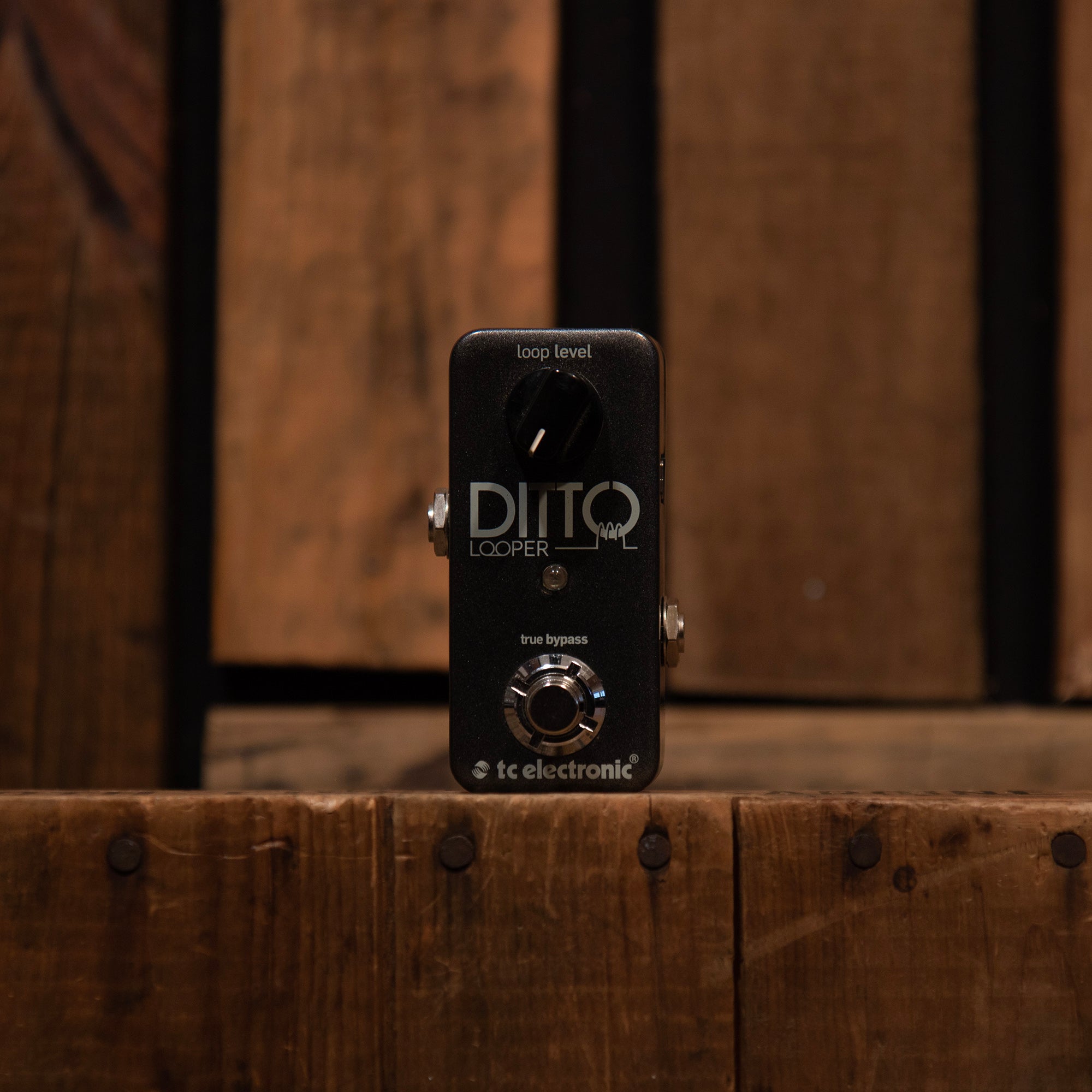 TC Electronic Ditto Looper