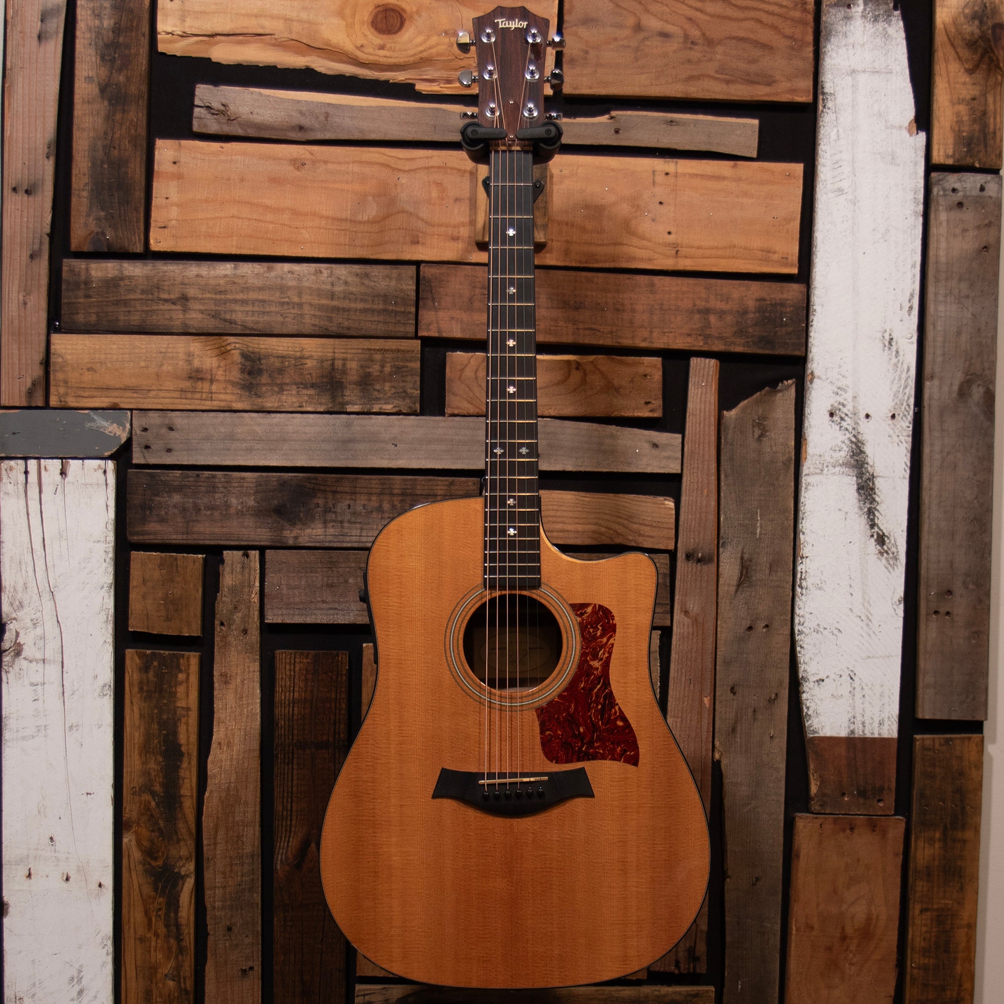 Taylor 310ce-LTD, 2001