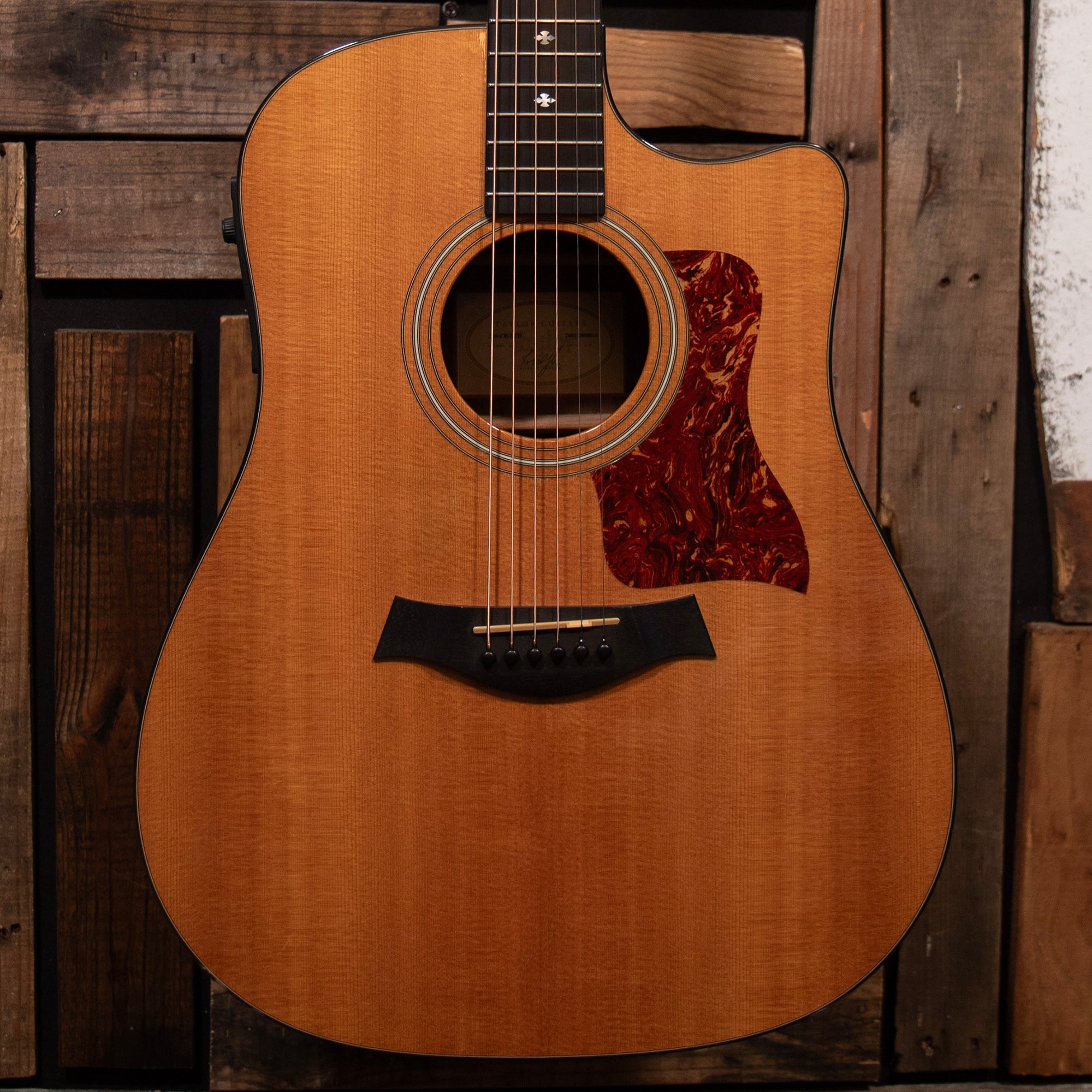 Taylor 310ce-LTD, 2001