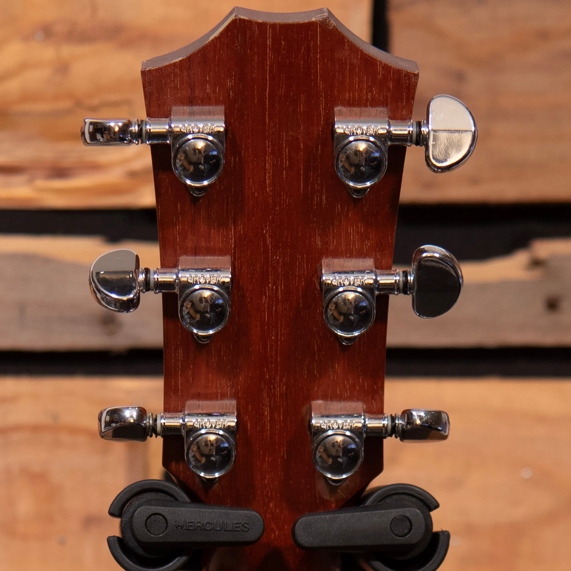 Taylor 310ce-LTD, 2001