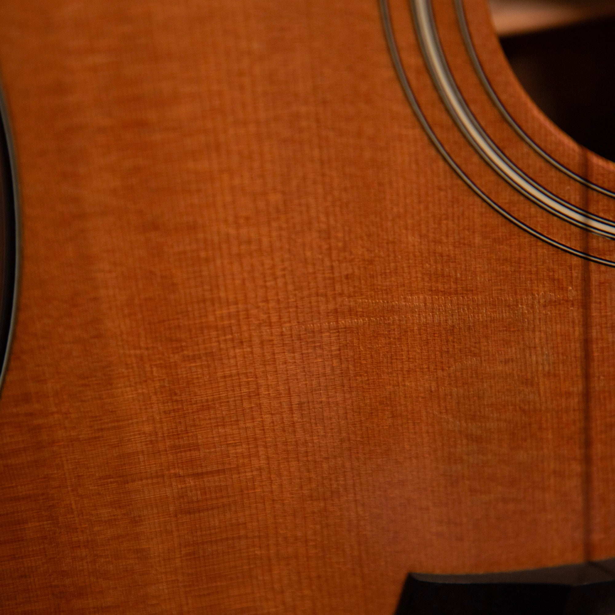 Taylor 310ce-LTD, 2001