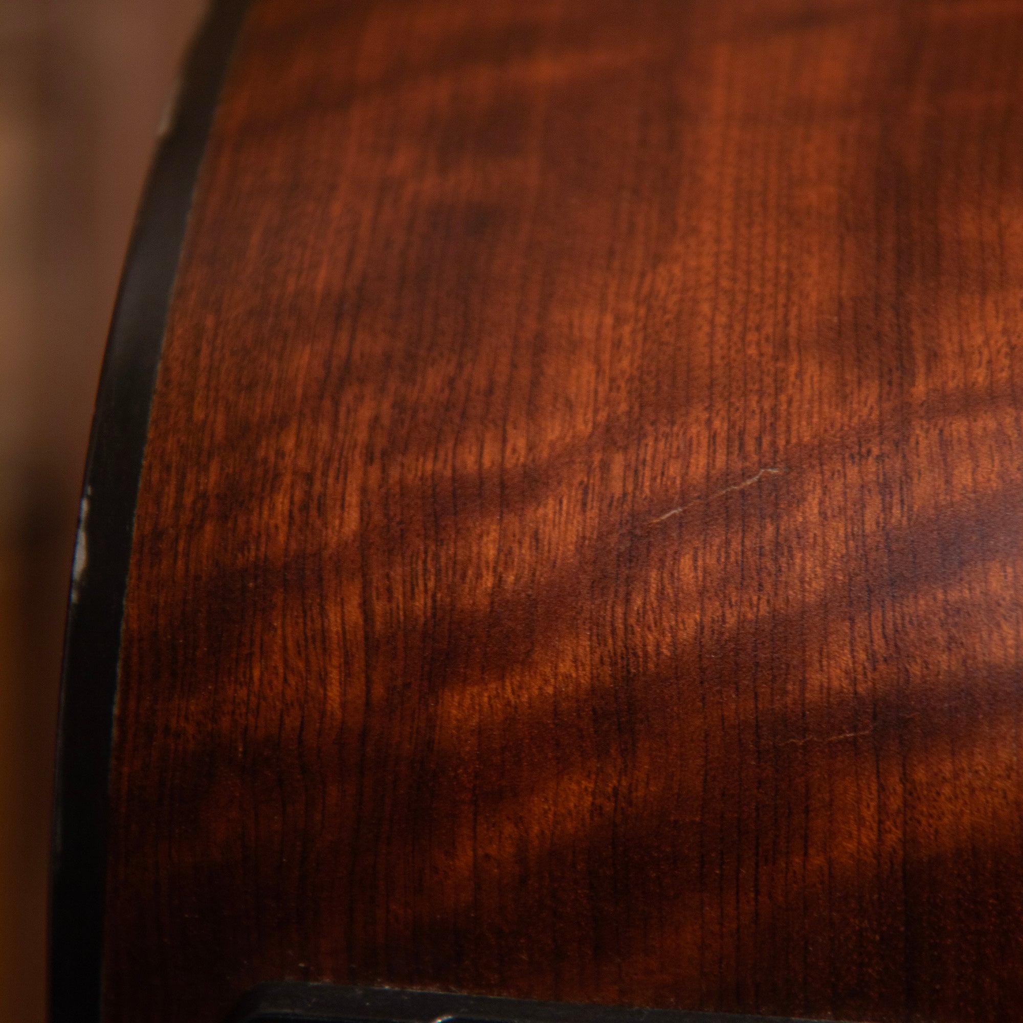Taylor 310ce-LTD, 2001