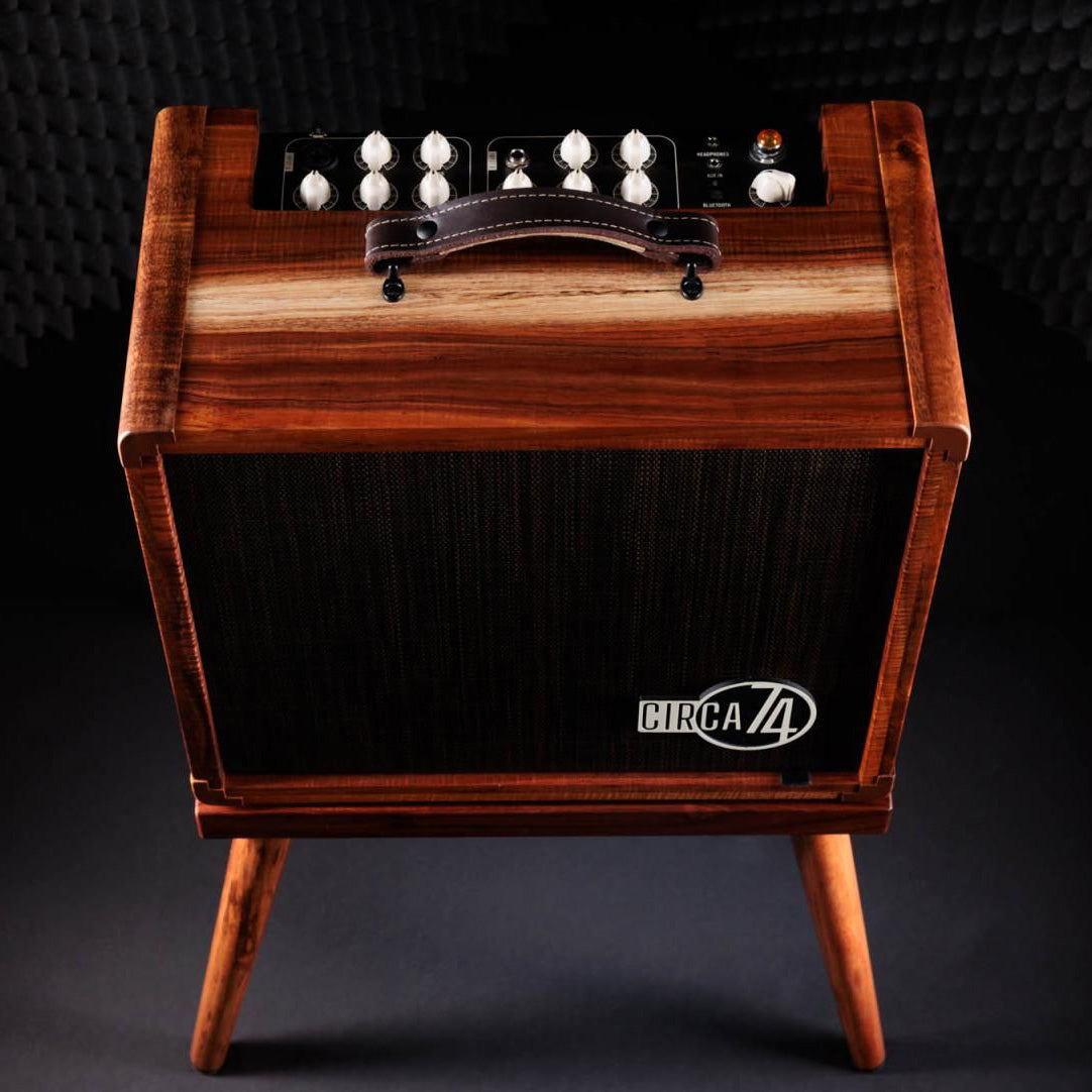 Taylor Circa 74 AV150-10 Acoustic Amp