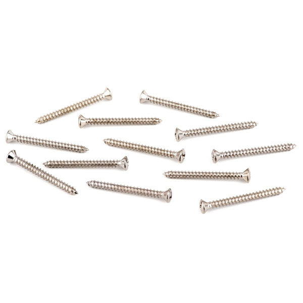 Fender Neck Plate Mounting Screws Chrome 12