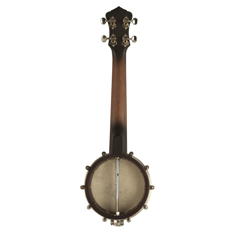 Recording King Banjolele