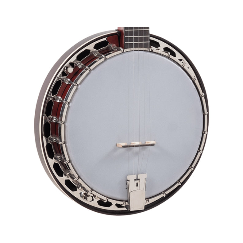 Recording King Dirty 30's Resonator Banjo