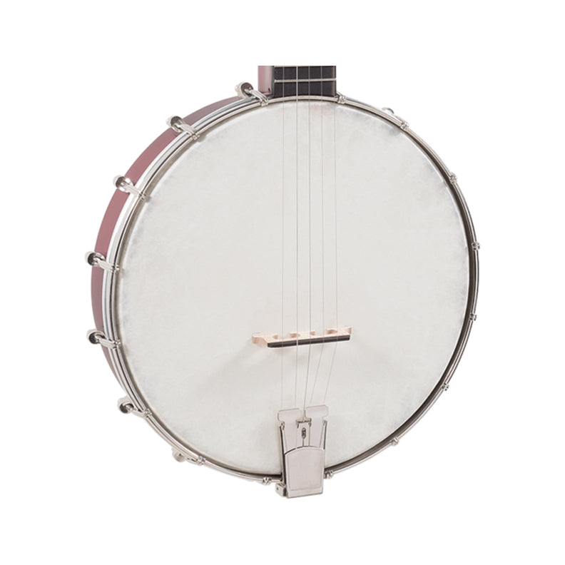 Recording King Dirty 30's Open Back Banjo