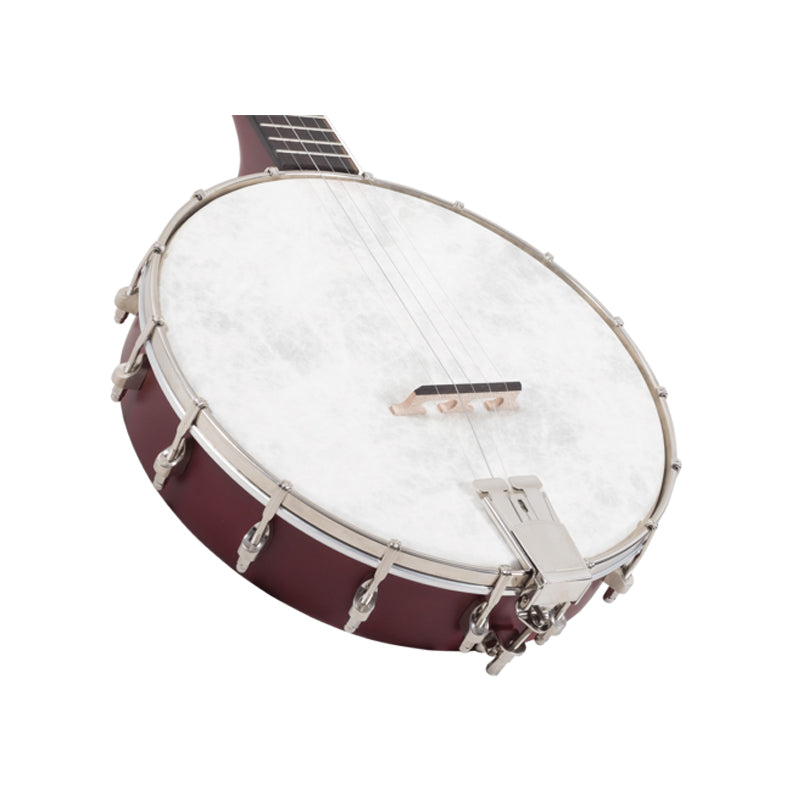 Recording King Dirty 30's Open Back Banjo