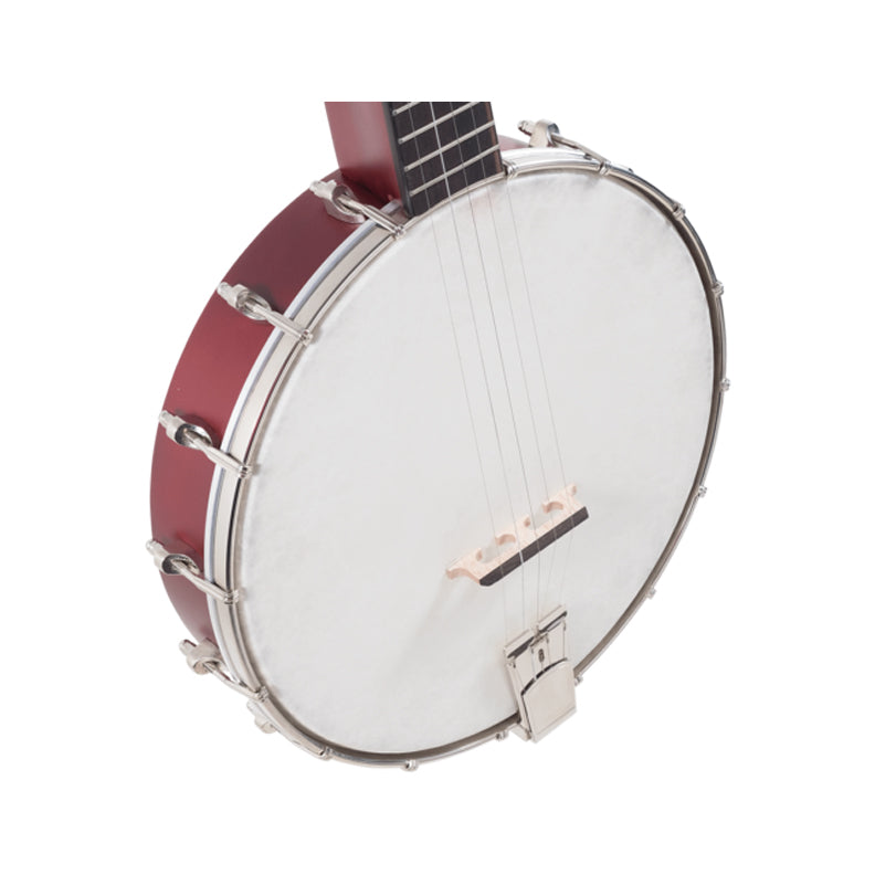 Recording King Dirty 30's Open Back Banjo