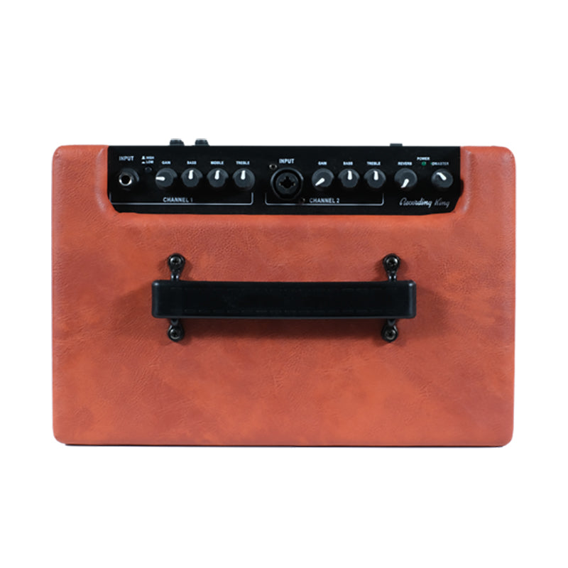 Recording King Songwriter 30 Acoustic Amp