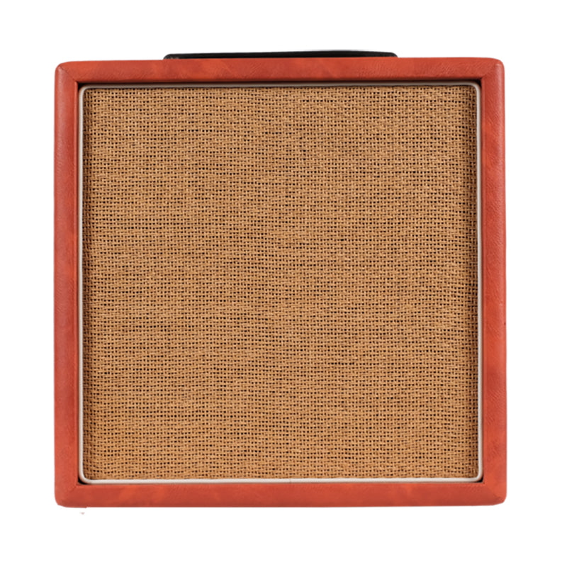 Recording King Songwriter 30 Acoustic Amp