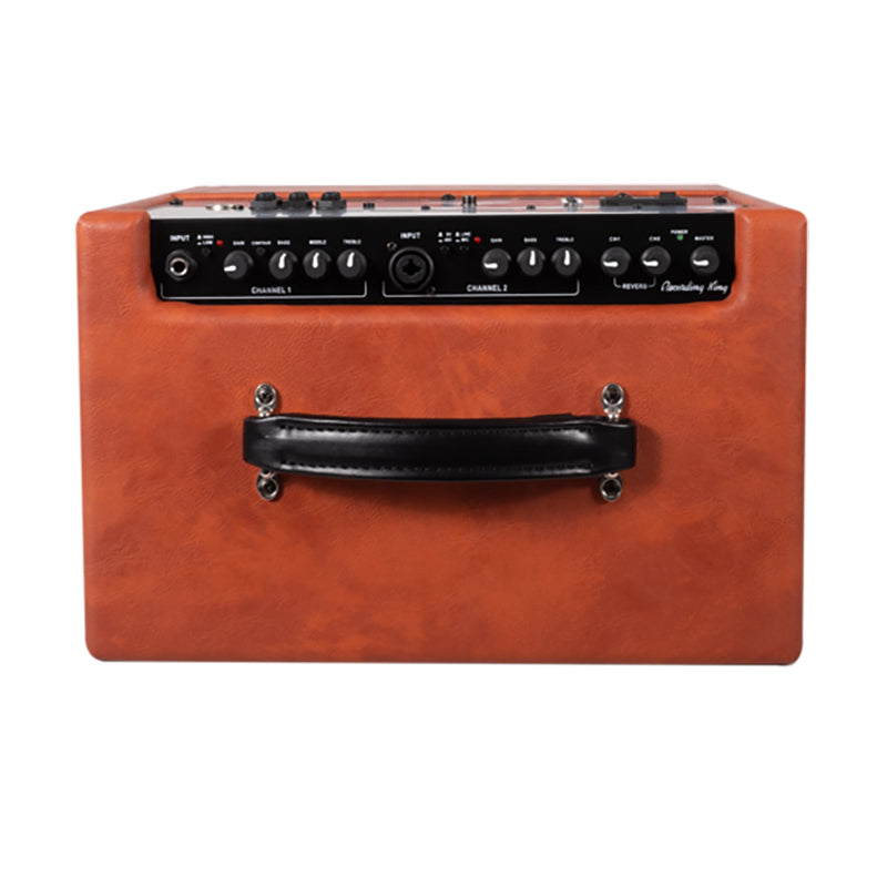 Recording King Songwriter 60 Acoustic Amp