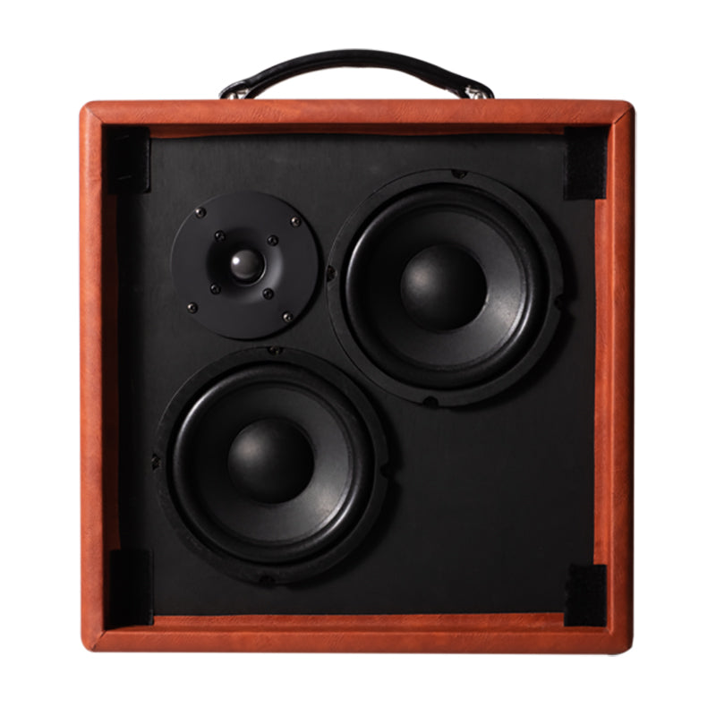 Recording King Songwriter 60 Acoustic Amp