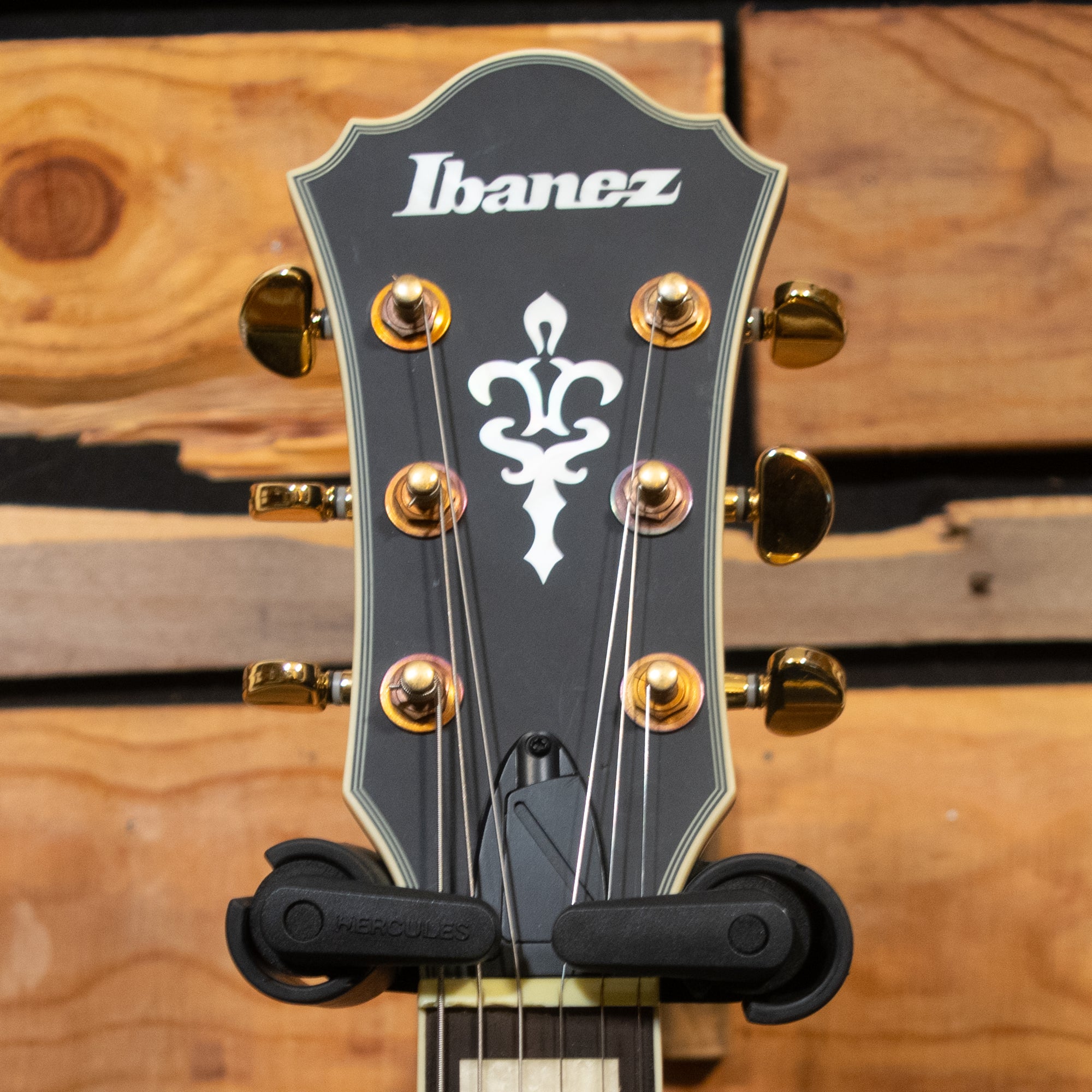 Ibanez AFJ91 Artcore Expressionist