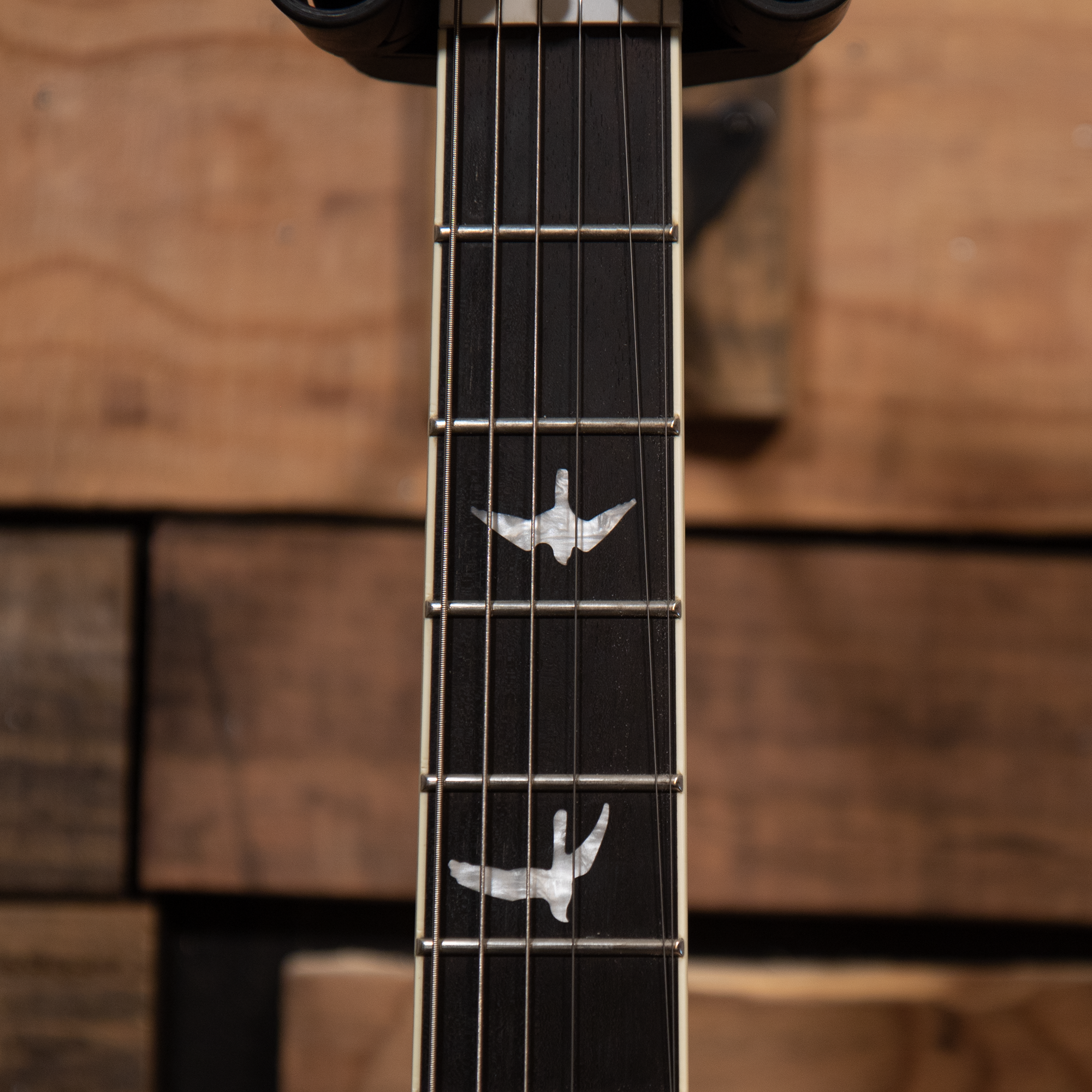 2017 PRS SE Mark Holcomb