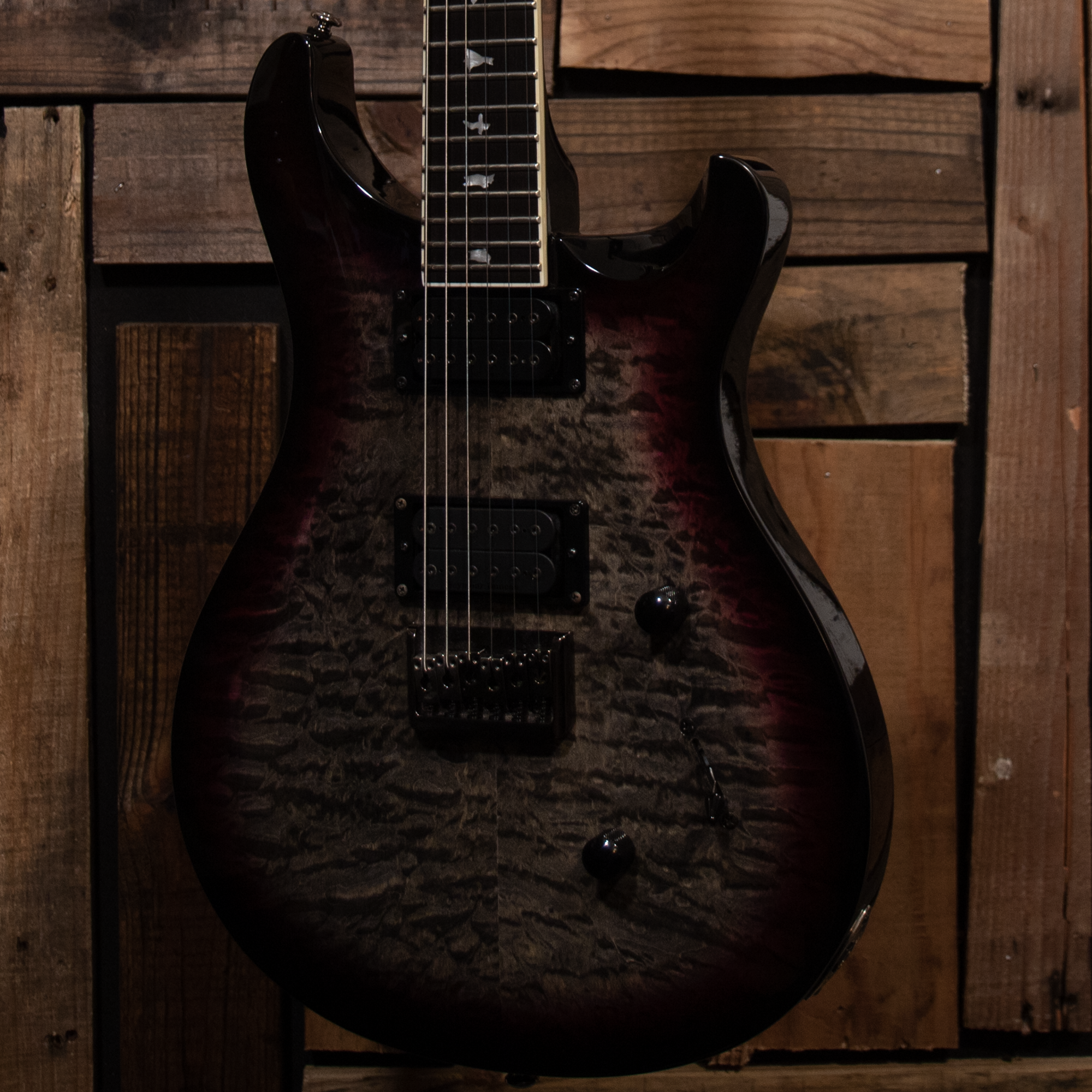 2017 PRS SE Mark Holcomb