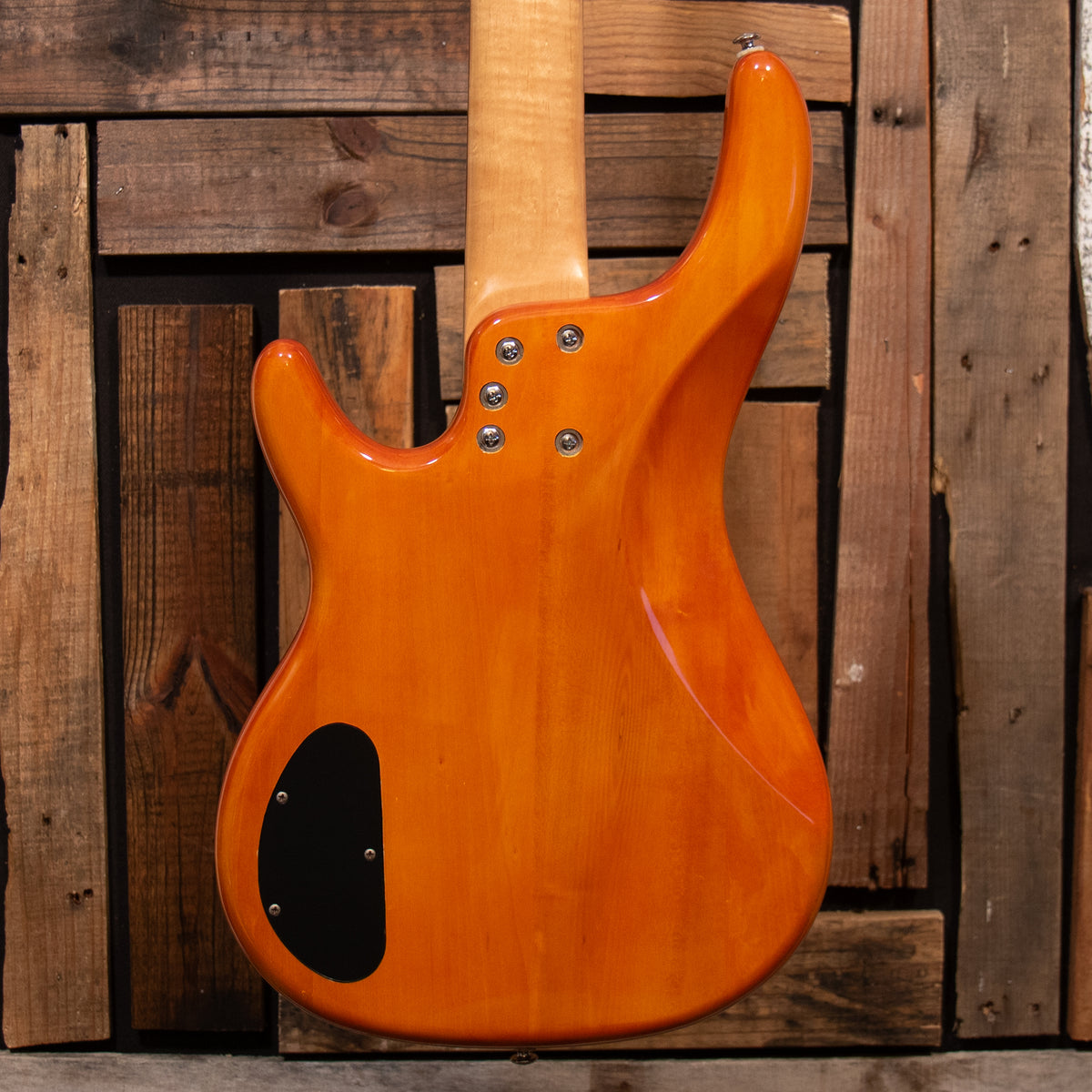 Alvarez AEB 250 VILLAIN 5-String Bass - Natural