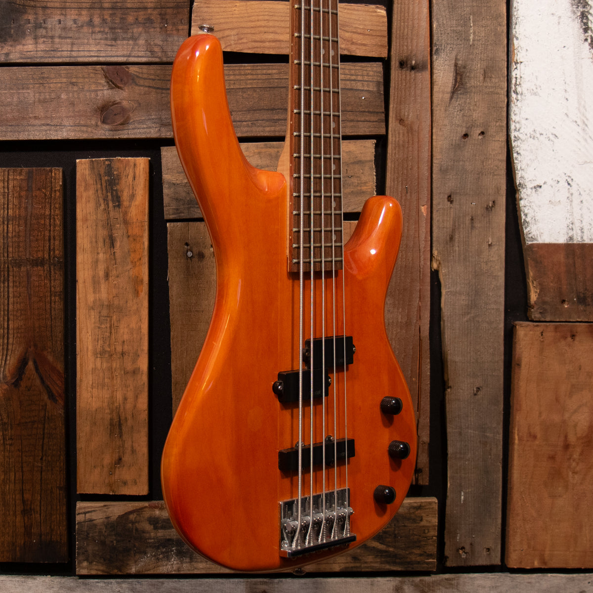 Alvarez AEB 250 VILLAIN 5-String Bass - Natural