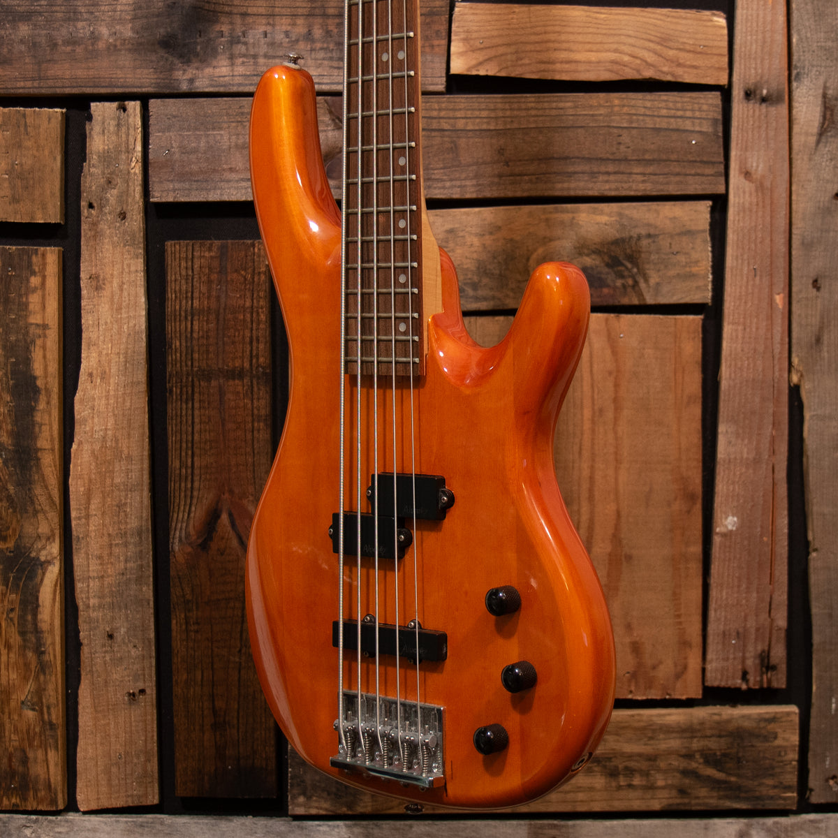 Alvarez AEB 250 VILLAIN 5-String Bass - Natural