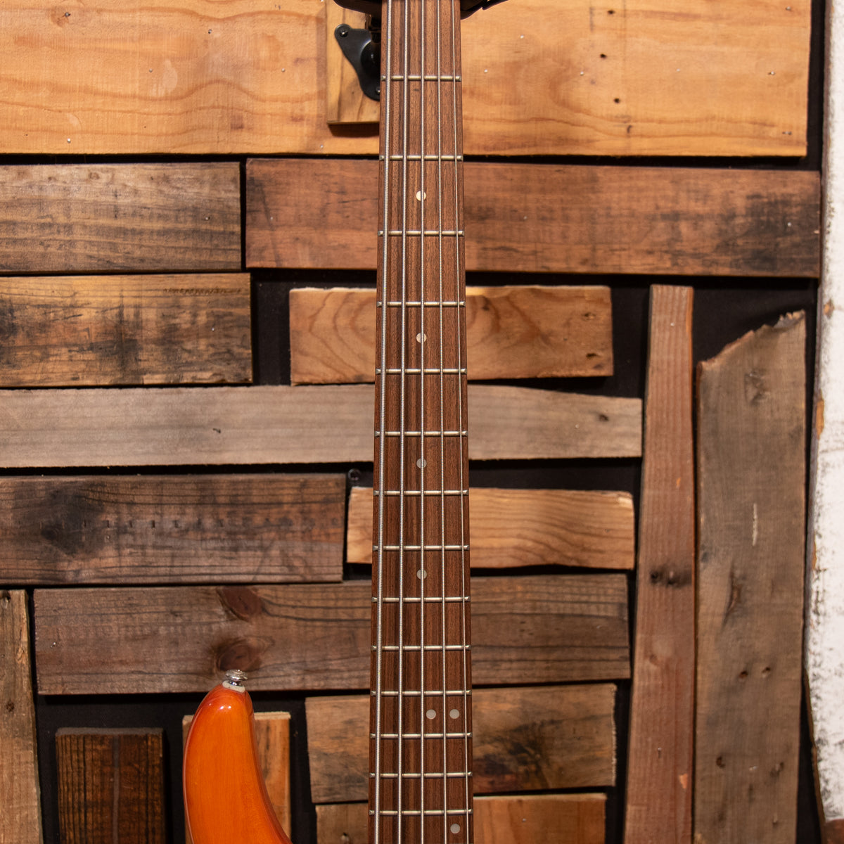 Alvarez AEB 250 VILLAIN 5-String Bass - Natural