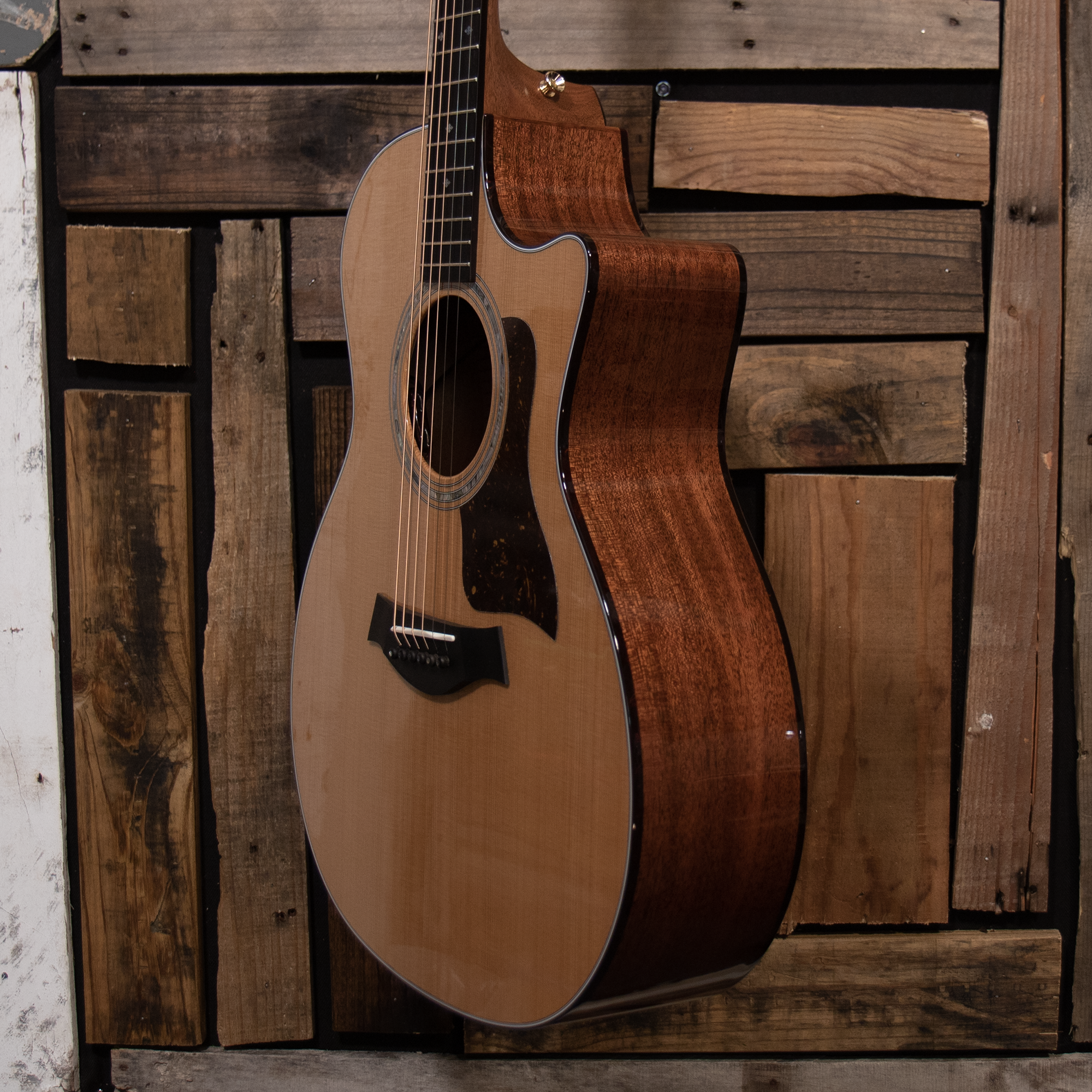 Taylor Legacy 514ce Cedar/Mahogany