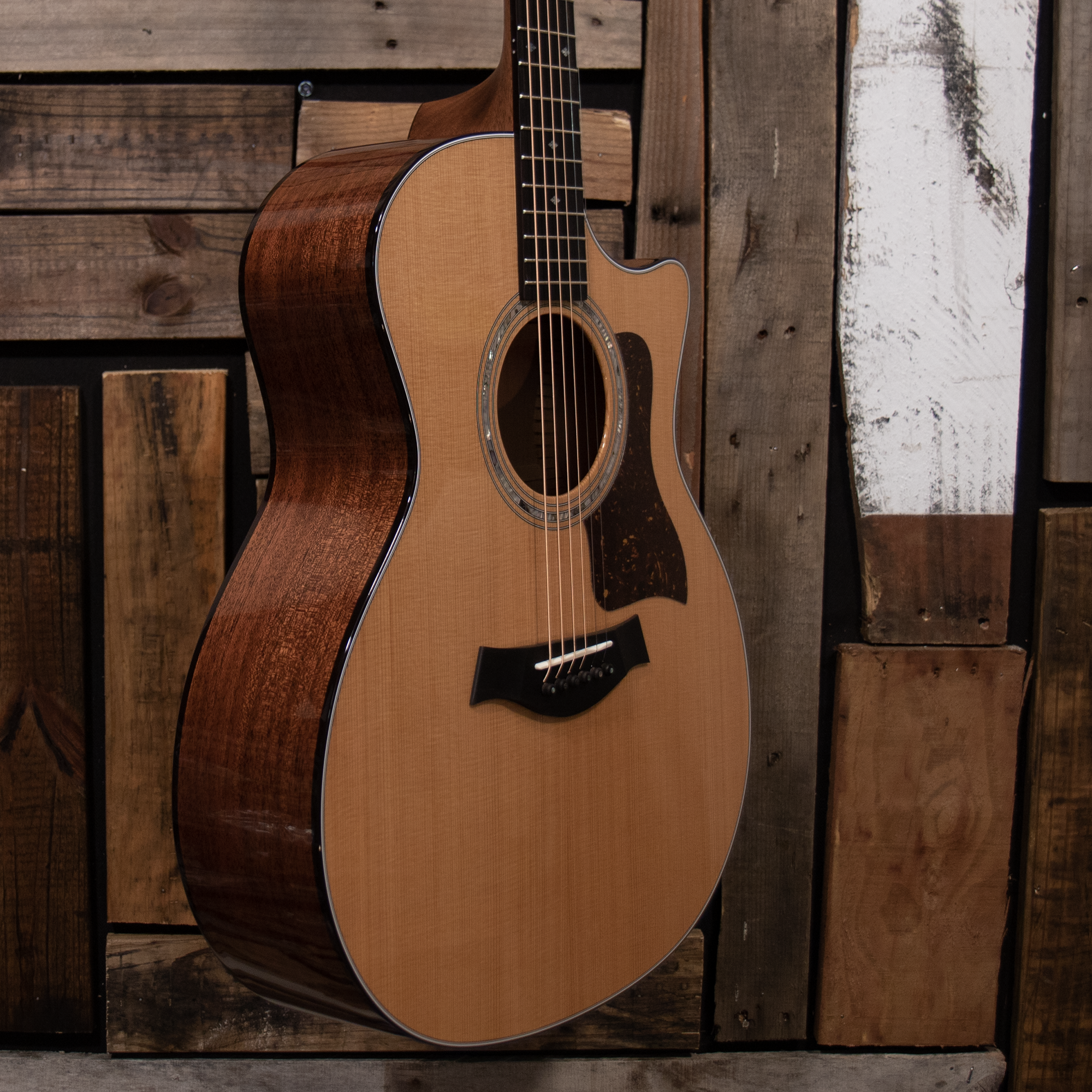 Taylor Legacy 514ce Cedar/Mahogany