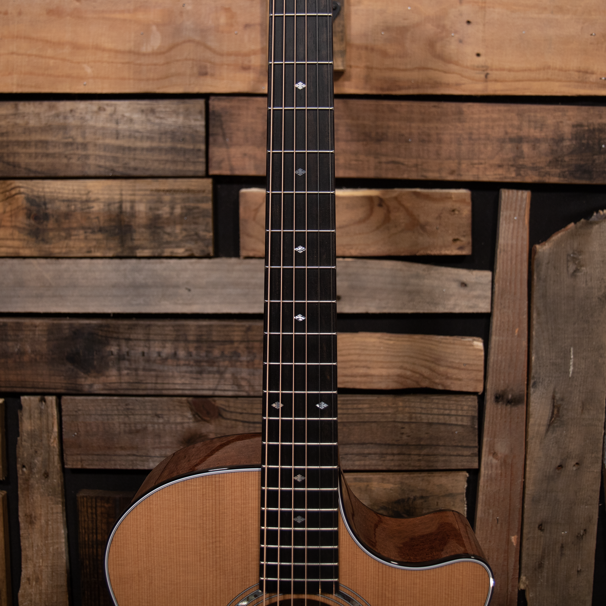 Taylor Legacy 514ce Cedar/Mahogany