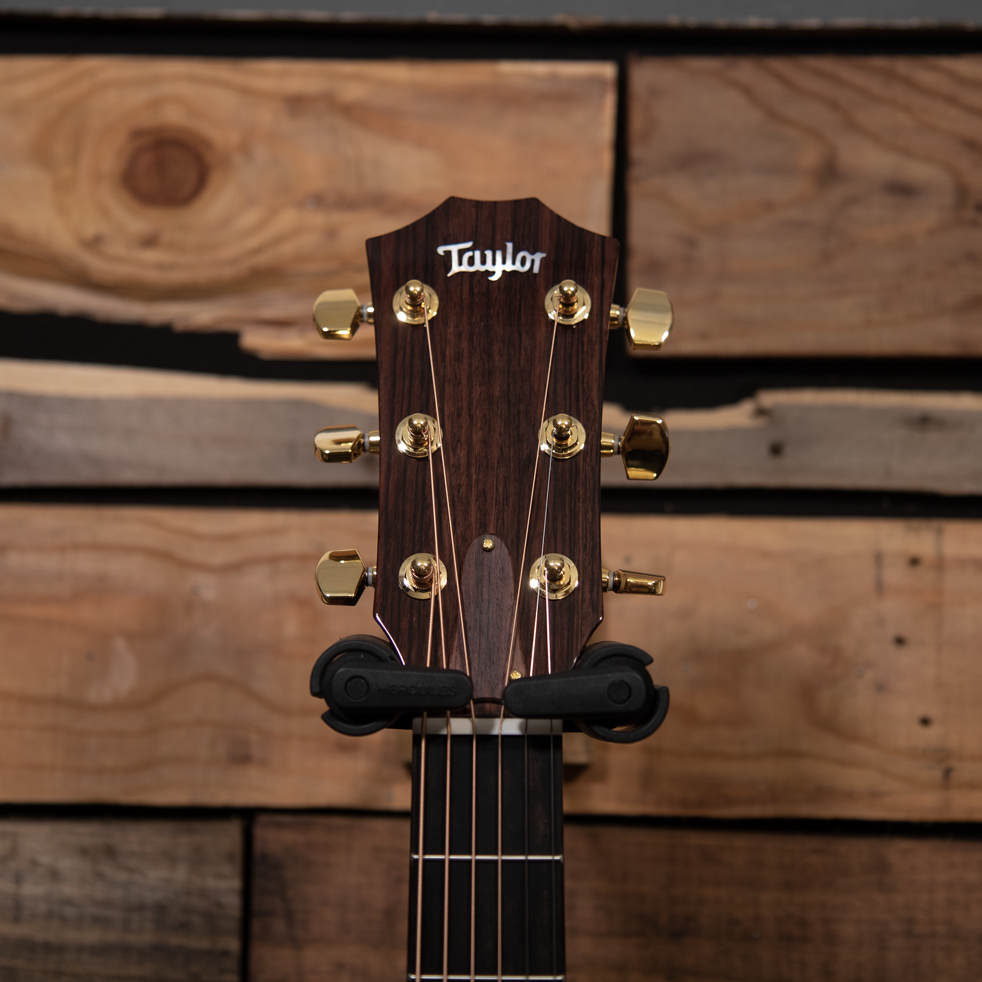 Taylor Legacy 514ce Cedar/Mahogany