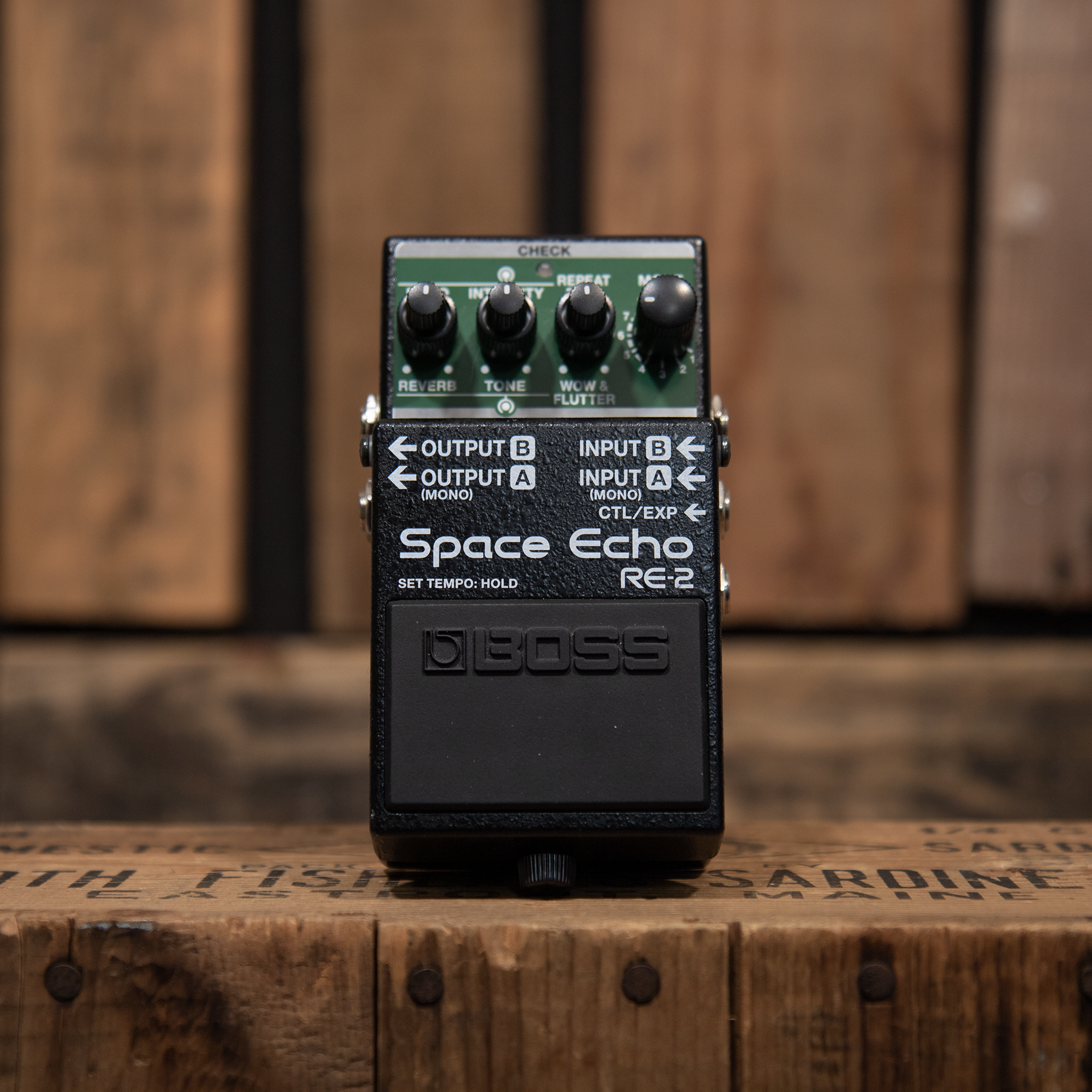 Boss RE-2 Space Echo