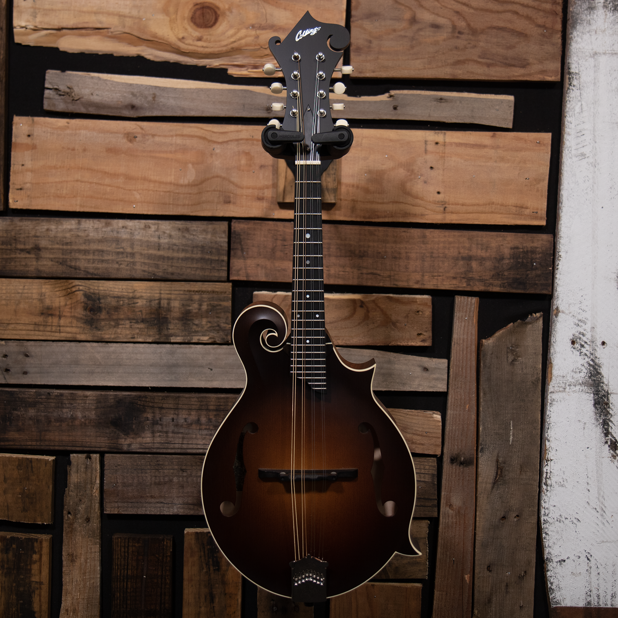 Collings MF Satin Mandolin