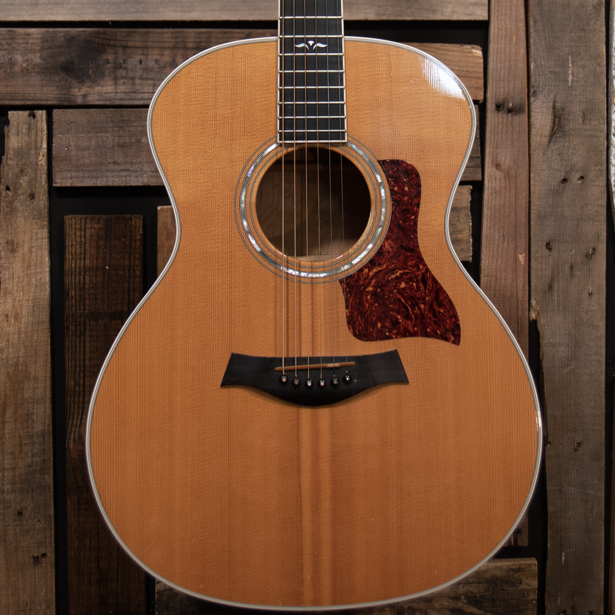 1996 Taylor 614