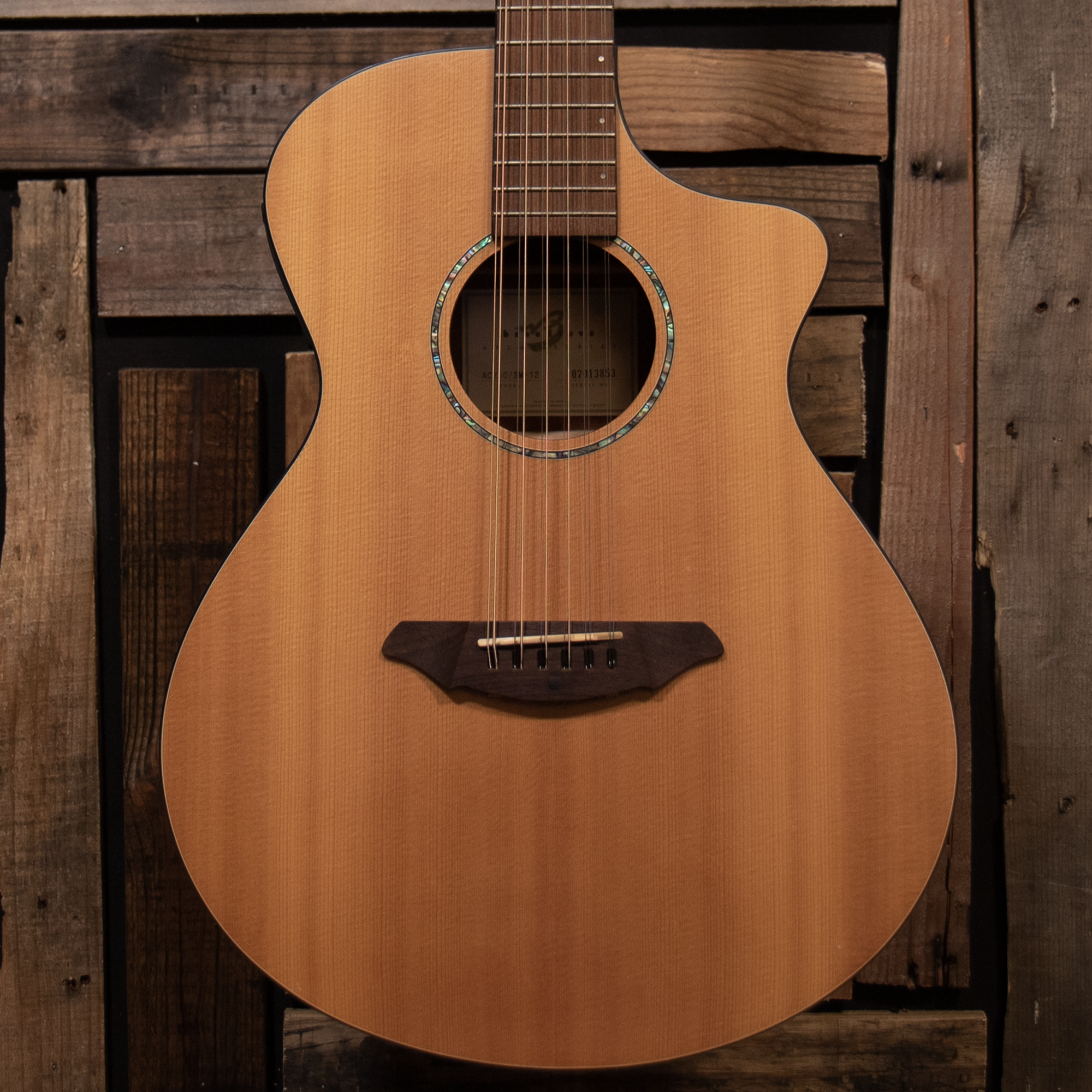 2007 Breedlove AC250/SM12