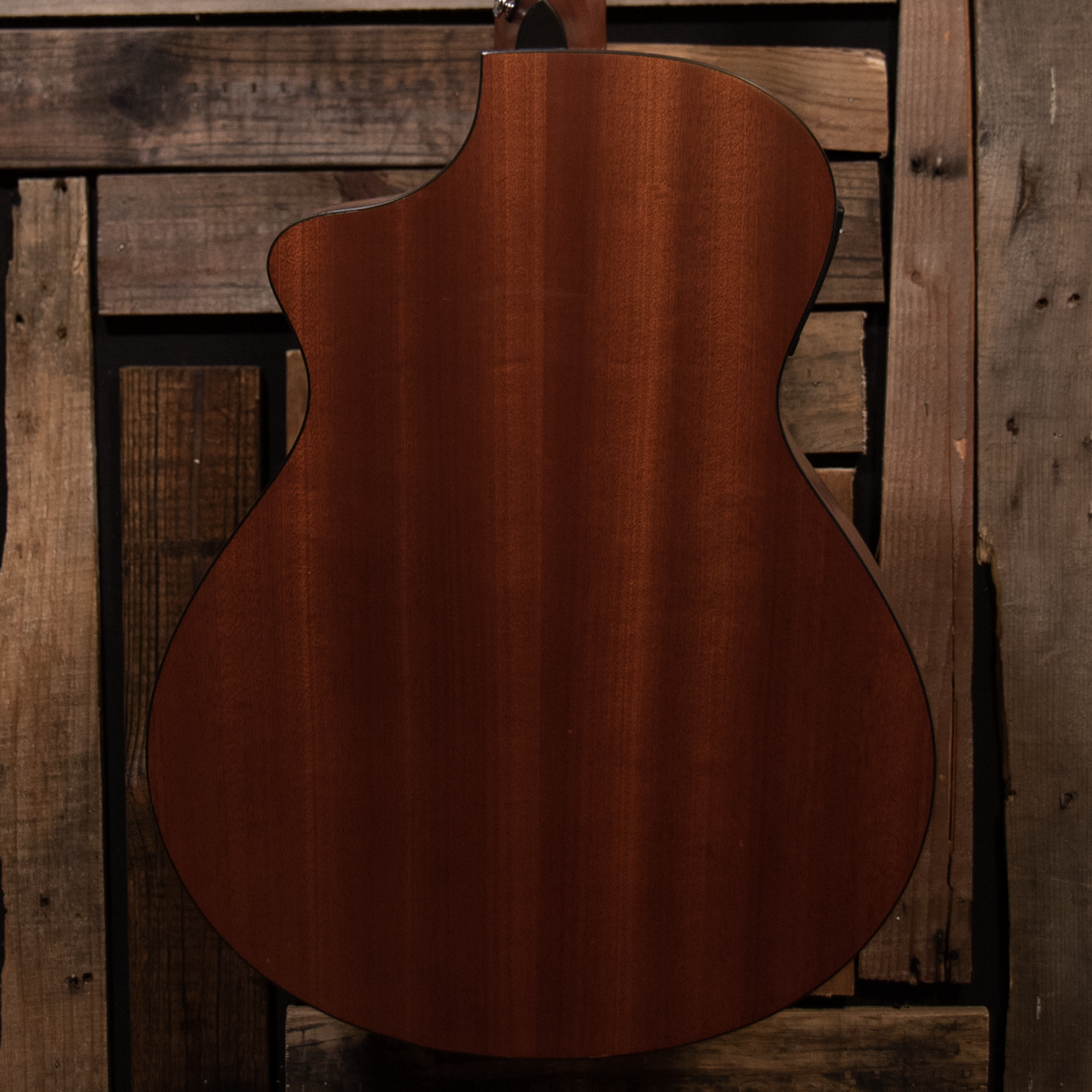 2007 Breedlove AC250/SM12