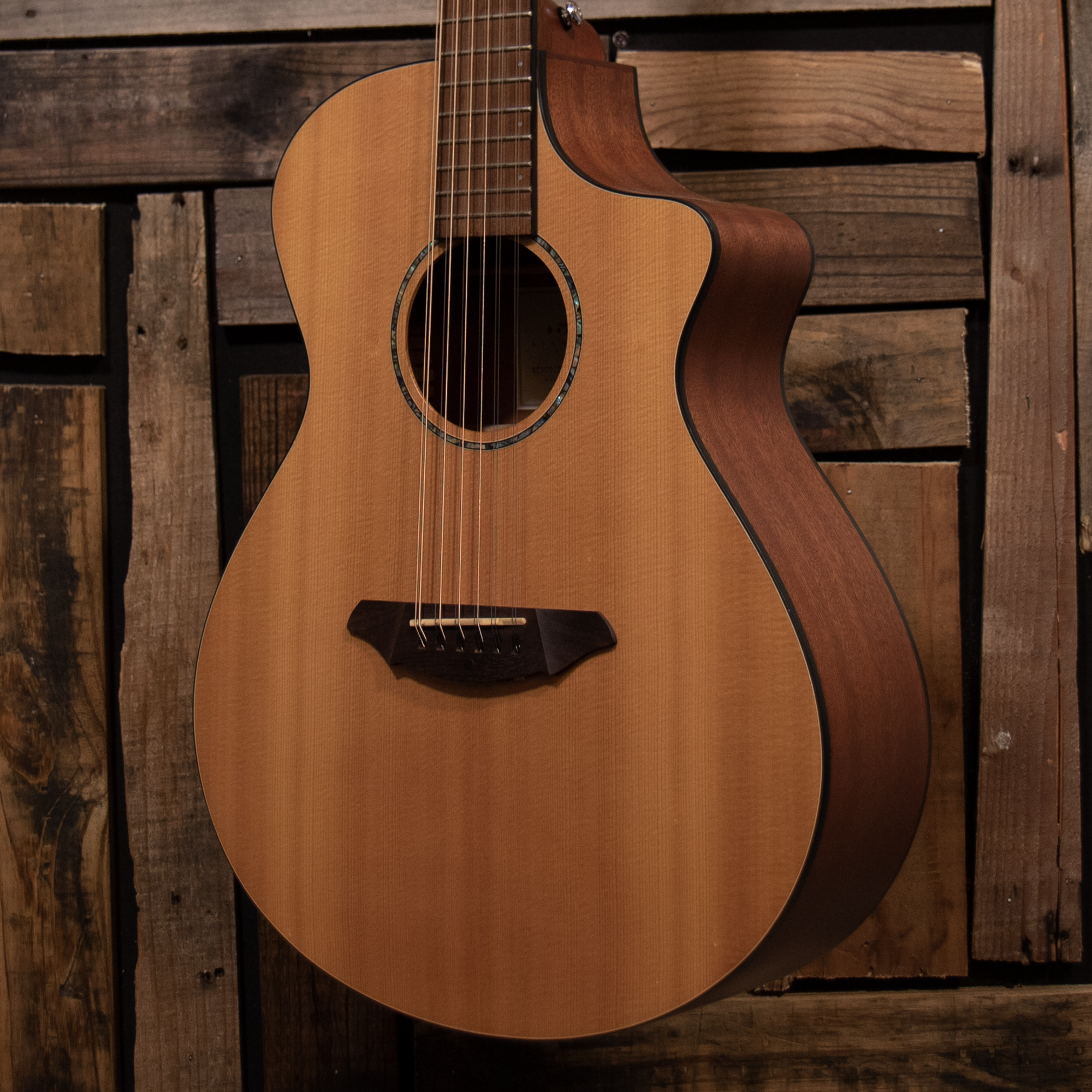 2007 Breedlove AC250/SM12