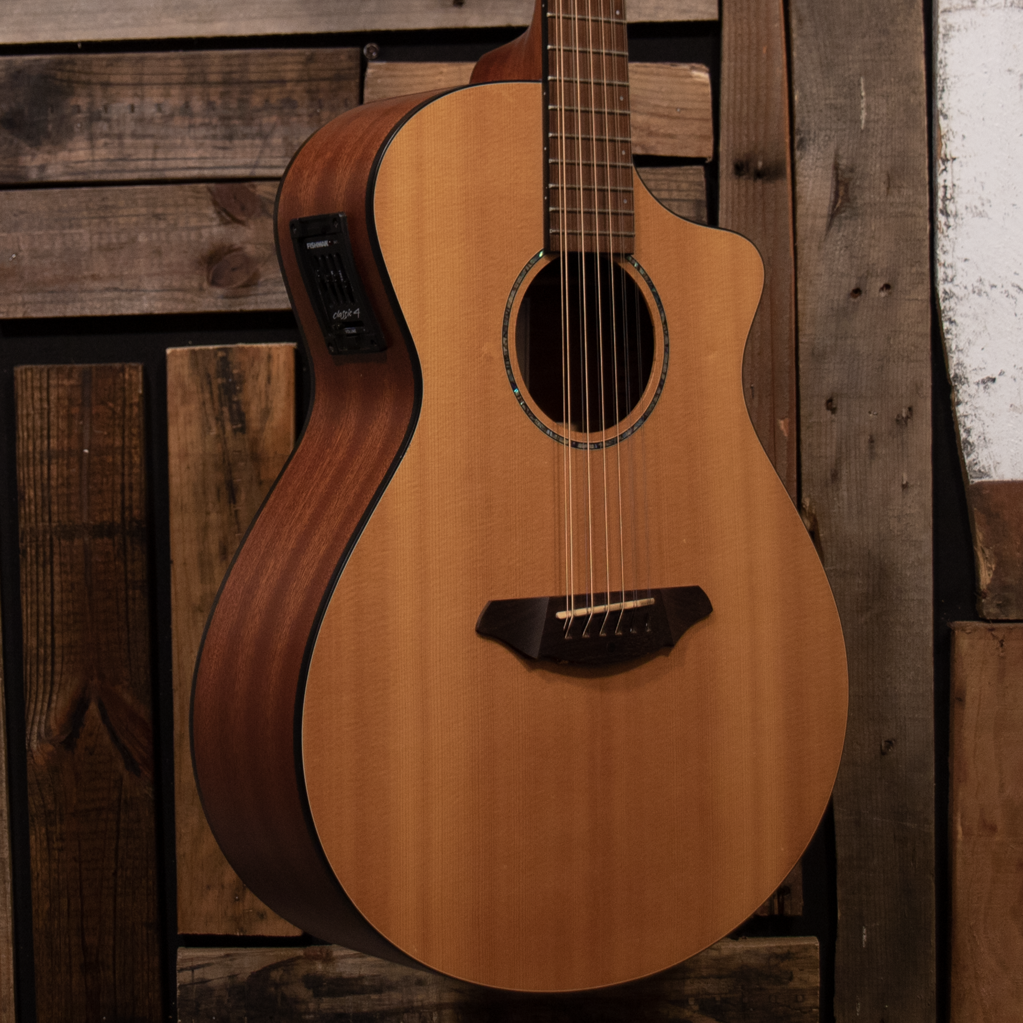 2007 Breedlove AC250/SM12