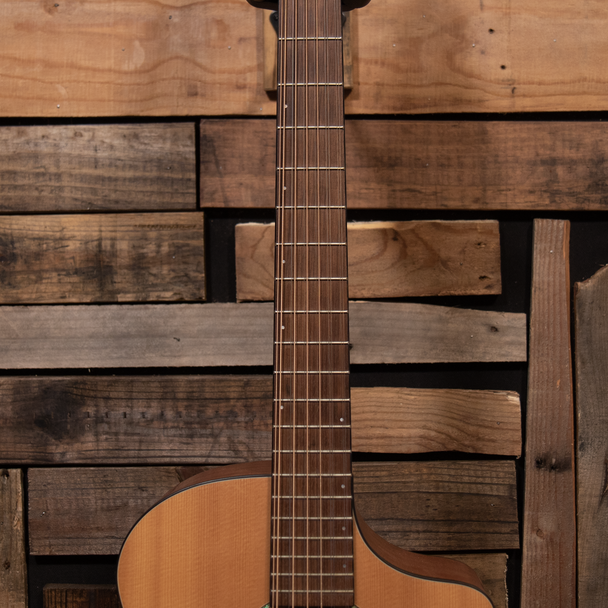 2007 Breedlove AC250/SM12