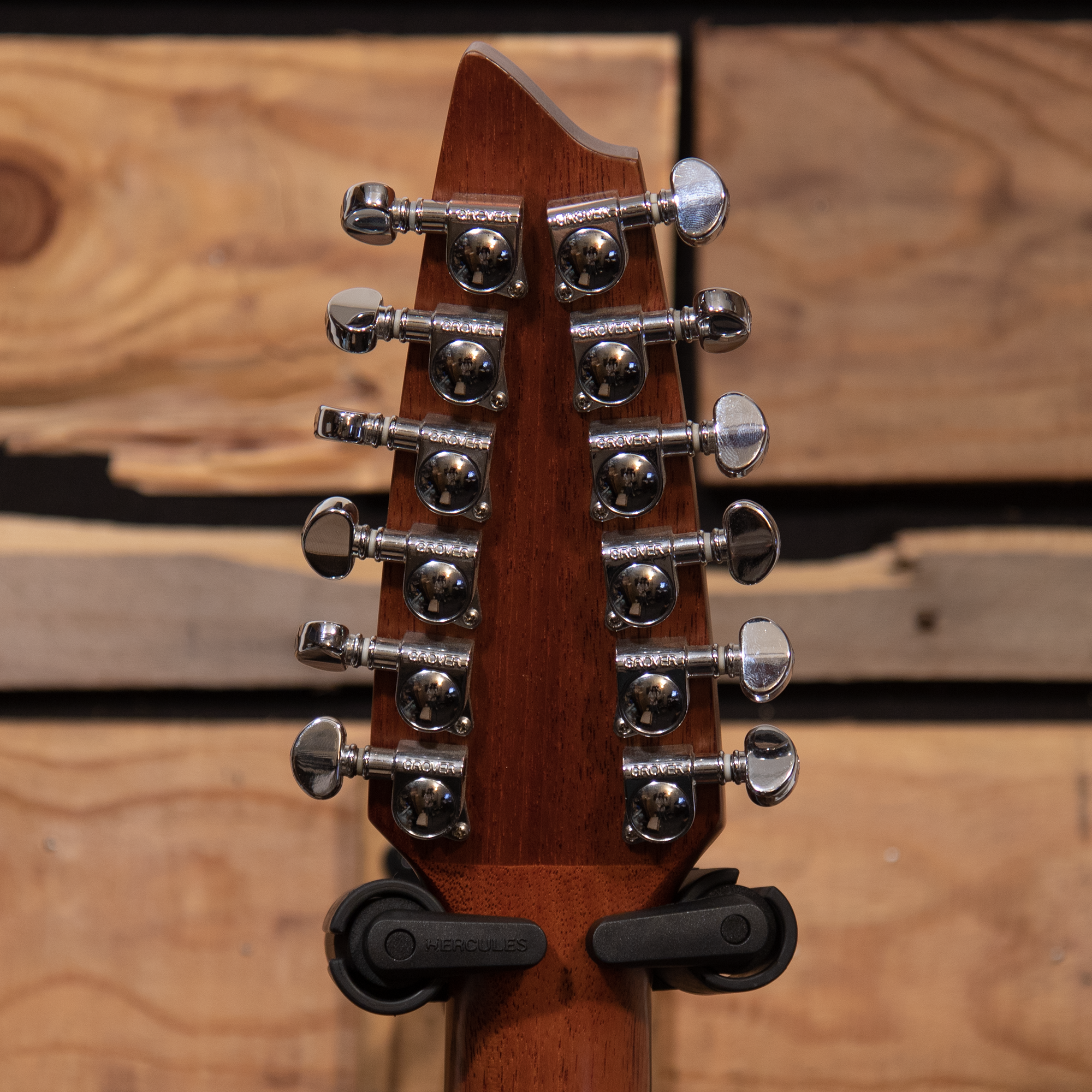 2007 Breedlove AC250/SM12